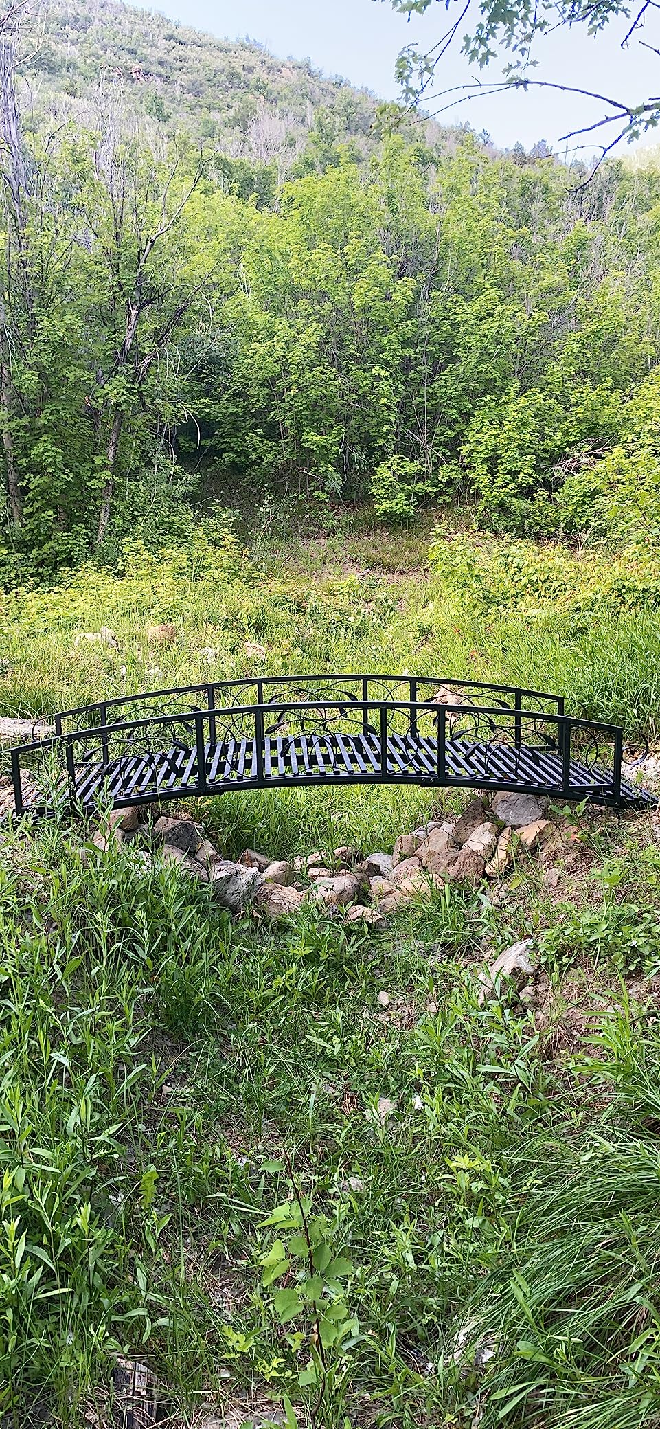 Kinpaw 8FT Metal Garden Bridge, Outdoor Arc Walkway with 2 Safety Rails, Durable Decorative Footbridge with Large Weight Capacity, Decor for Stream, Fish Pond, Antique Black customer photo 1