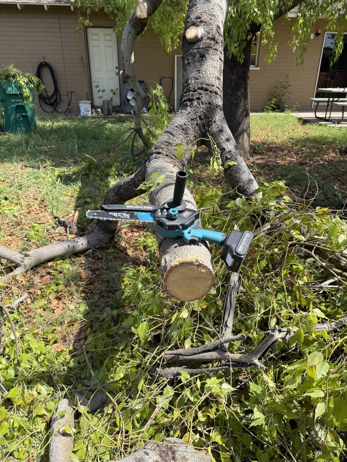 SEESII 2-in-1 Cordless 8 Inch Pole Saw & Mini Chainsaw, 2x4.0Ah Batteries | Brushless Chain Saw with Extension Pole, Long Reach Power Electric Polesaw for Tree Trimming Limb Branch Cutter customer photo 1