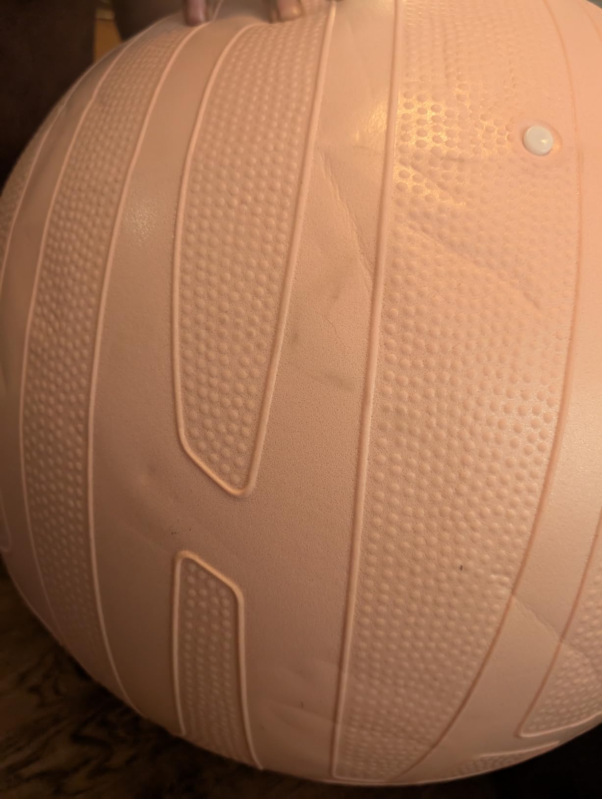 Trideer Pregnancy Ball for Daily Comfort & Labor, Exercise Guide Included customer photo 2