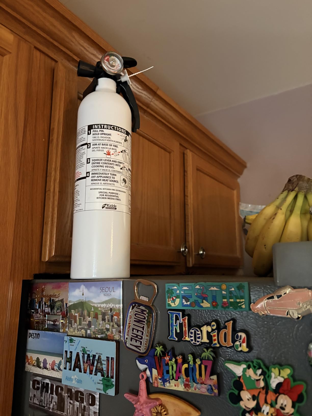 Kidde Kitchen Fire Extinguisher, 711A, RESSP | Home Extinguisher for Small Cooking Oil and Grease Fires in Residential Kitchens, 2.5 lb. Dry Chemical customer photo 1