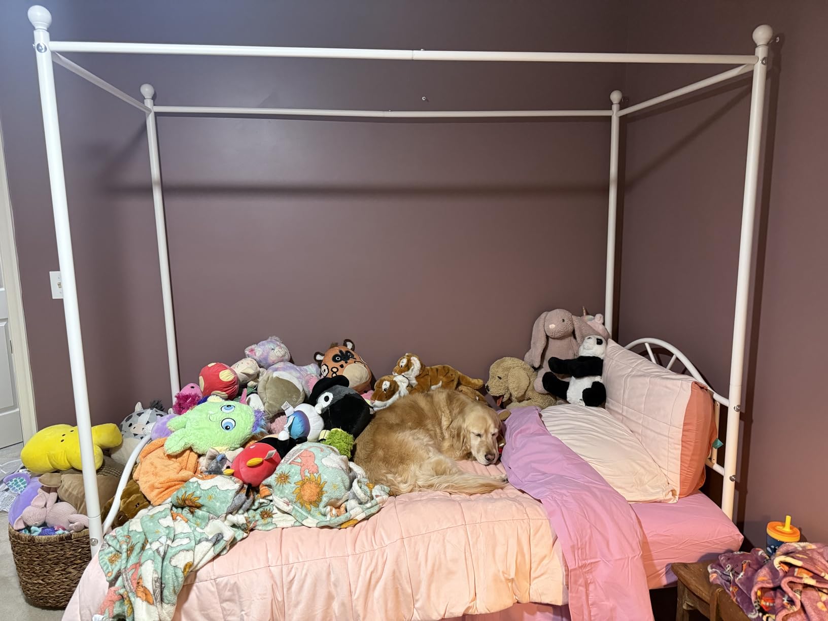 Queen Canopy Bed Frame with 4 Posters, Queen Size Bed for Girls Adults | Sturdy Metal Platform Mattress Foundation with Headboard & Footboard, No Box Spring Needed, Underbed Storage Space, Gold customer photo 1