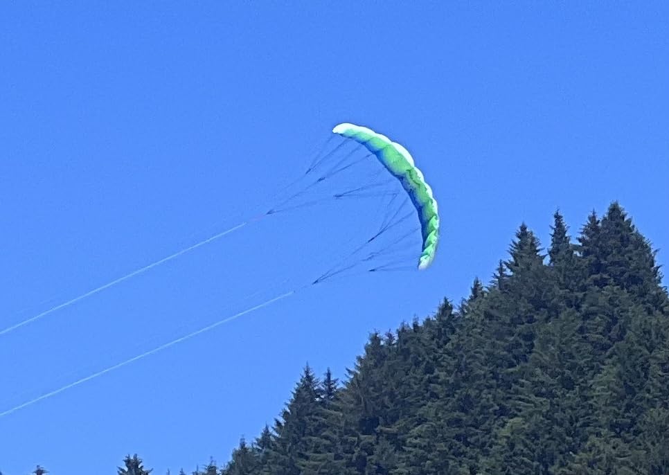 Prism Kite Technology Synapse 200 Coastal Dual-line Parafoil Kite customer photo 2