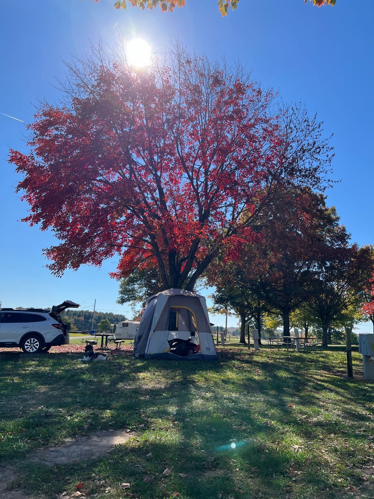 Timber Ridge Truck-Bed-Tents SUV Camping Tent customer photo 2
