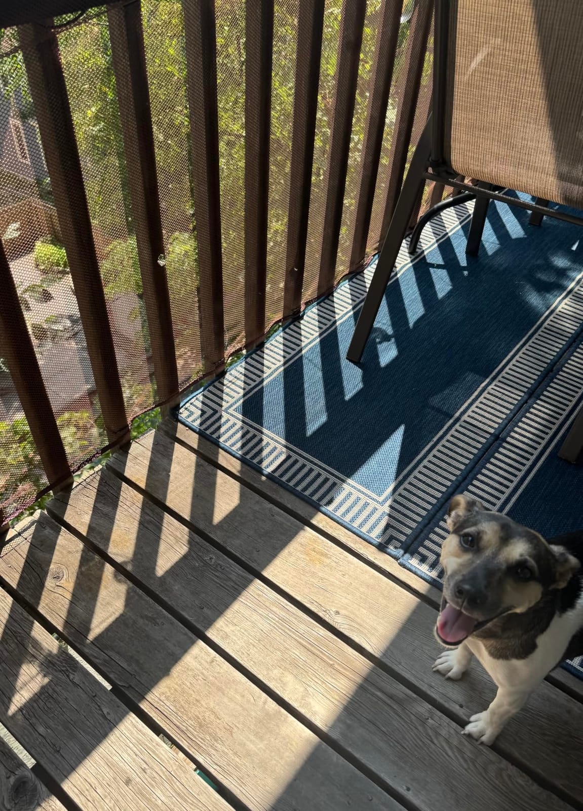 Hosuly Banister Guard Balcony Netting, 15 x 3 ft, Black, 1 Set | for Kids Pets Stairway Safety Net Baby Fence, CPC Certified Flame-retardant Thickened Mesh for Apartment Railing, No Drilling customer photo 1