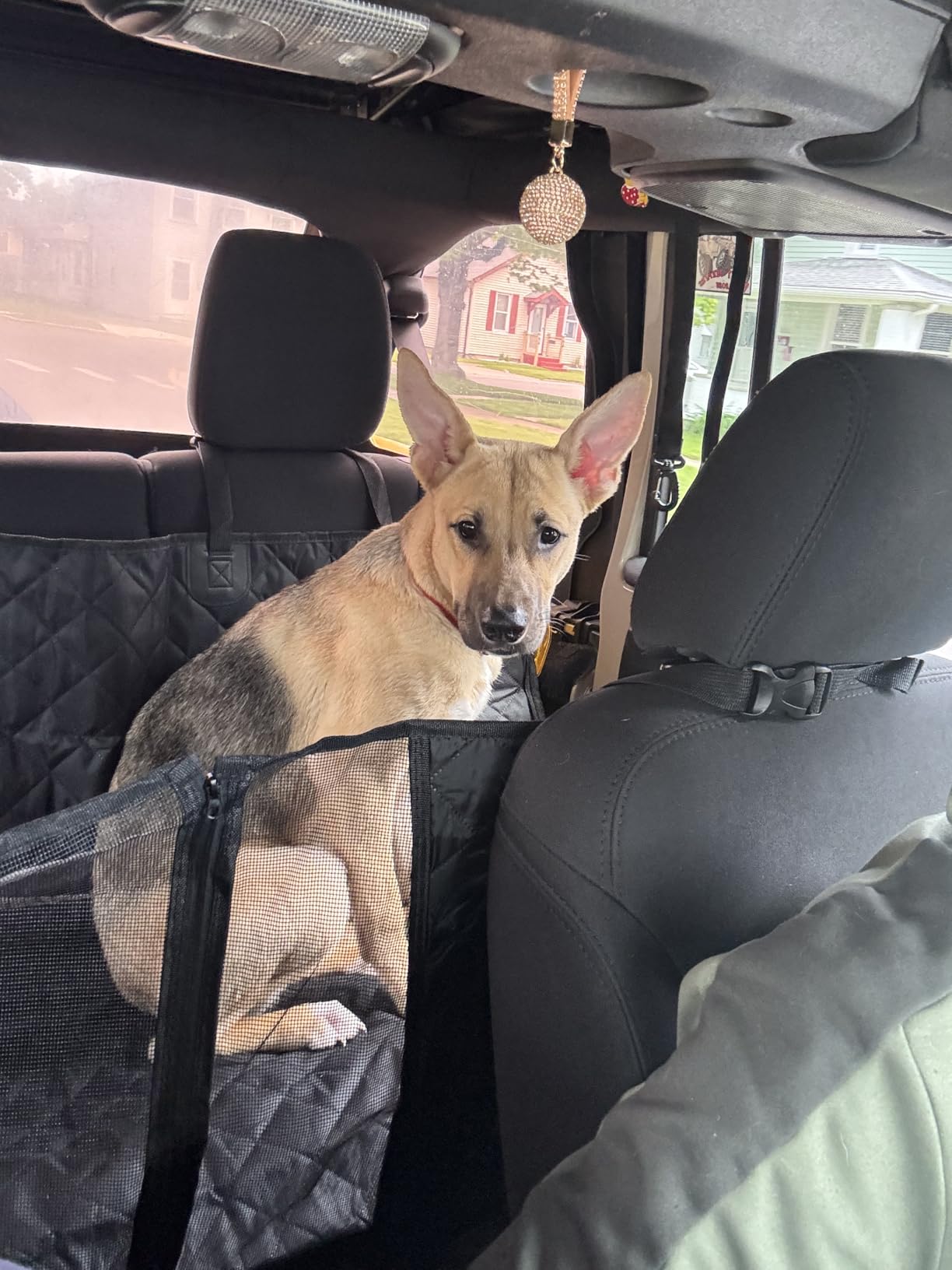 Dog Car Seat Cover, 600D Heavy Duty Car Seat Cover for Dogs Pets, 100% Waterproof Anti-Scratch Nonslip Dog Hammock for Cars, Seat Covers Protector with SeatBelt for Sedan SUV Truck Standard Black customer photo 1