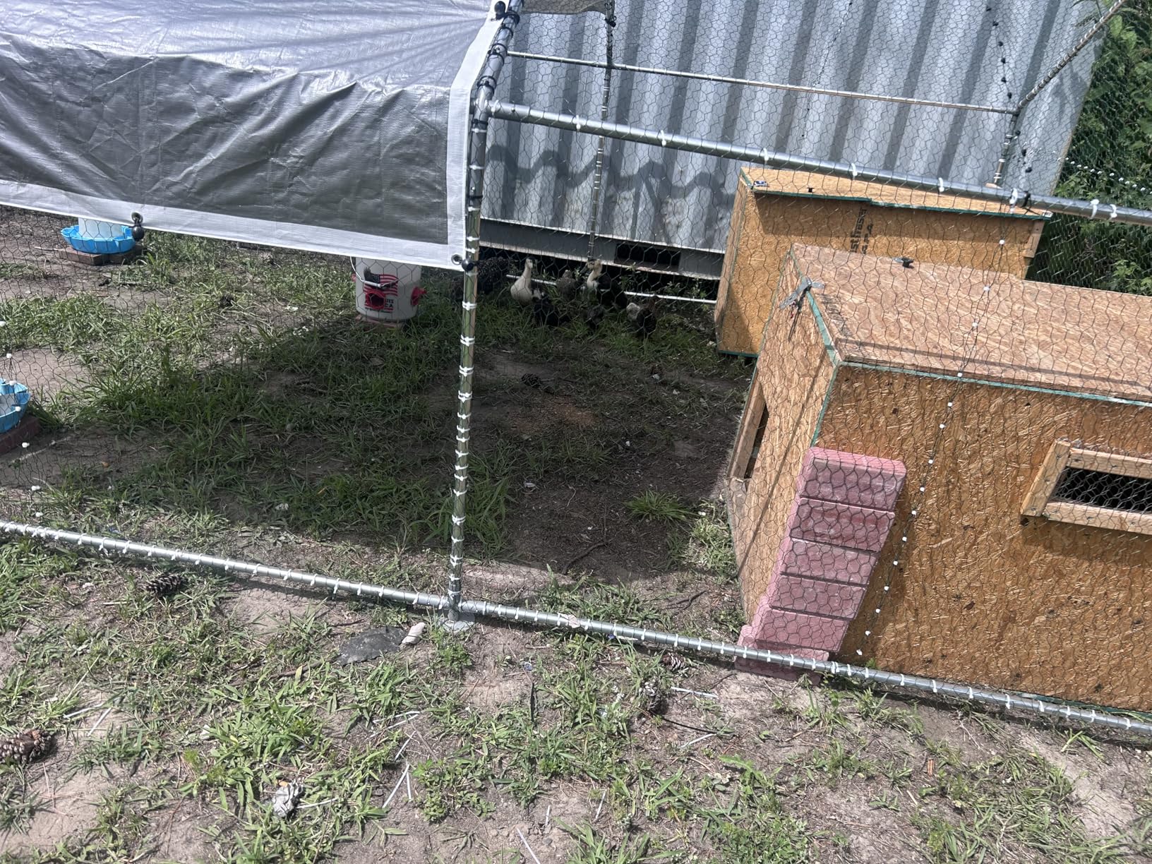 NUGRIART Large Metal Chicken Coop Walk-in Poultry Cage with Water-Resistant and Anti-UV Cover Duck Rabbit Cat House Outdoor Chicken Run Pen with Spire Shaped Cage customer photo 1