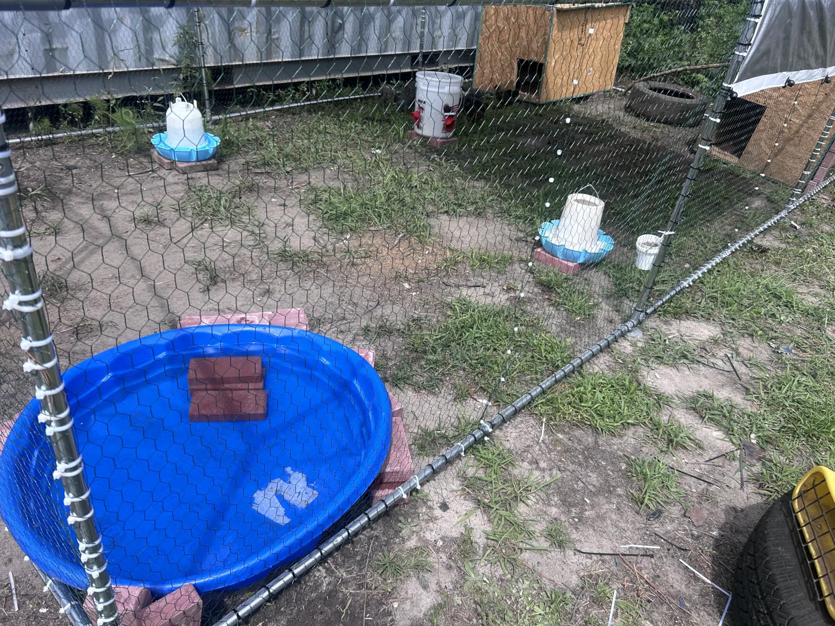 NUGRIART Large Metal Chicken Coop Walk-in Poultry Cage with Water-Resistant and Anti-UV Cover Duck Rabbit Cat House Outdoor Chicken Run Pen with Spire Shaped Cage customer photo 2