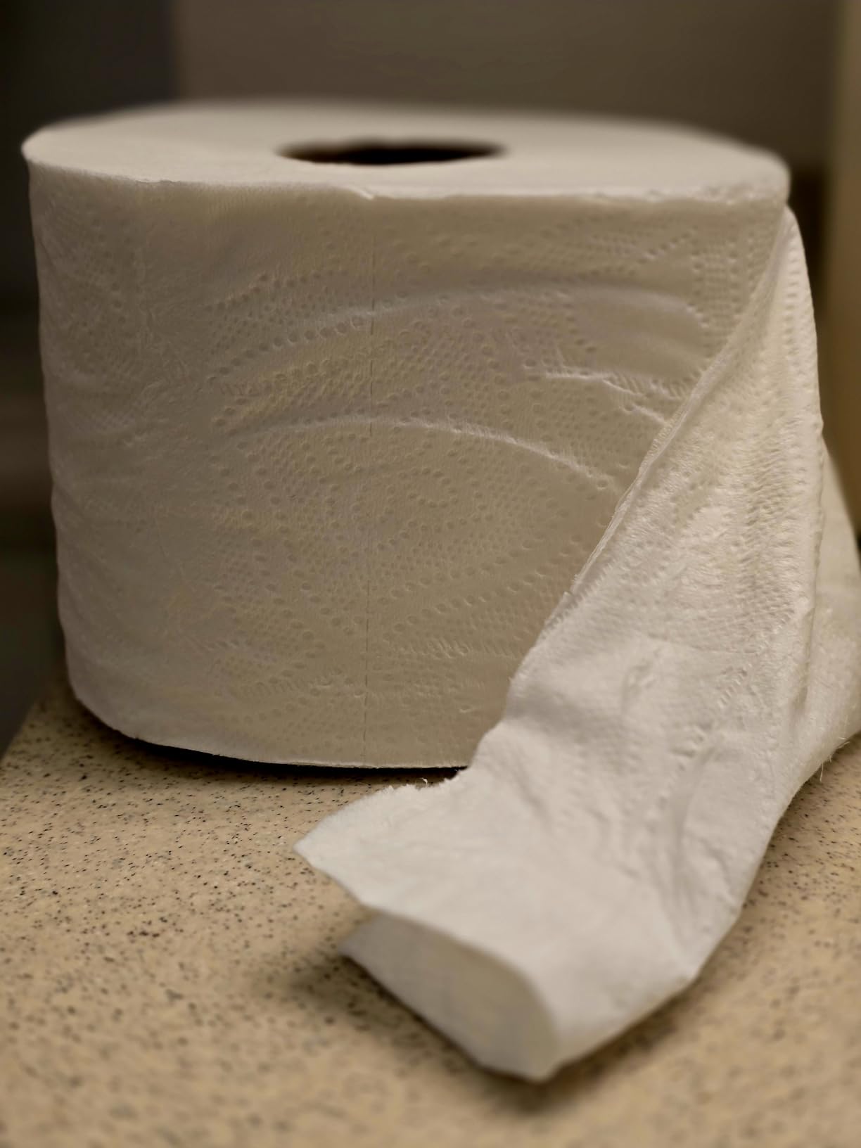 Quilted Northern Toilet Paper, Ultra Plush, 24 Mega Rolls, Bath Tissue, 3-ply customer photo 2