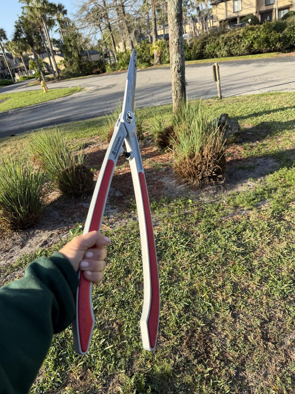 Corona Tools PrecisionCUT Aluminum Hedge Shear - Lightweight Hedge Clippers for Trimming Hedges, Shrubs & Bushes, Garden Landscaping Shears customer photo 1