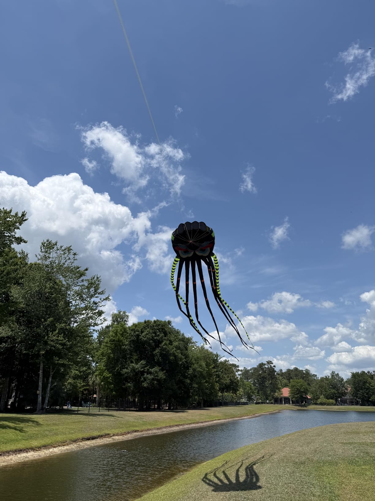 3D 26ft Ultra Large & Funs Octopus Foil Kite with 1000D Kite String, Beach Park Outdoor Fun Beach Trip Great Gift to Build customer photo 2