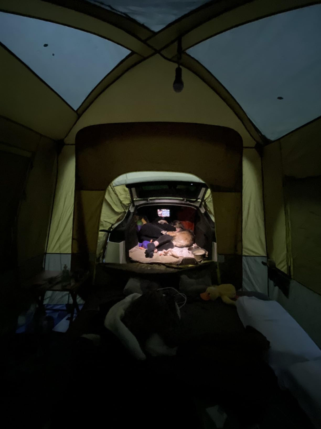 Timber Ridge Truck-Bed-Tents SUV Camping Tent | Weather Resistant and Portable Van or Car Tent, Includes Rainfly and Storage Bag customer photo 1