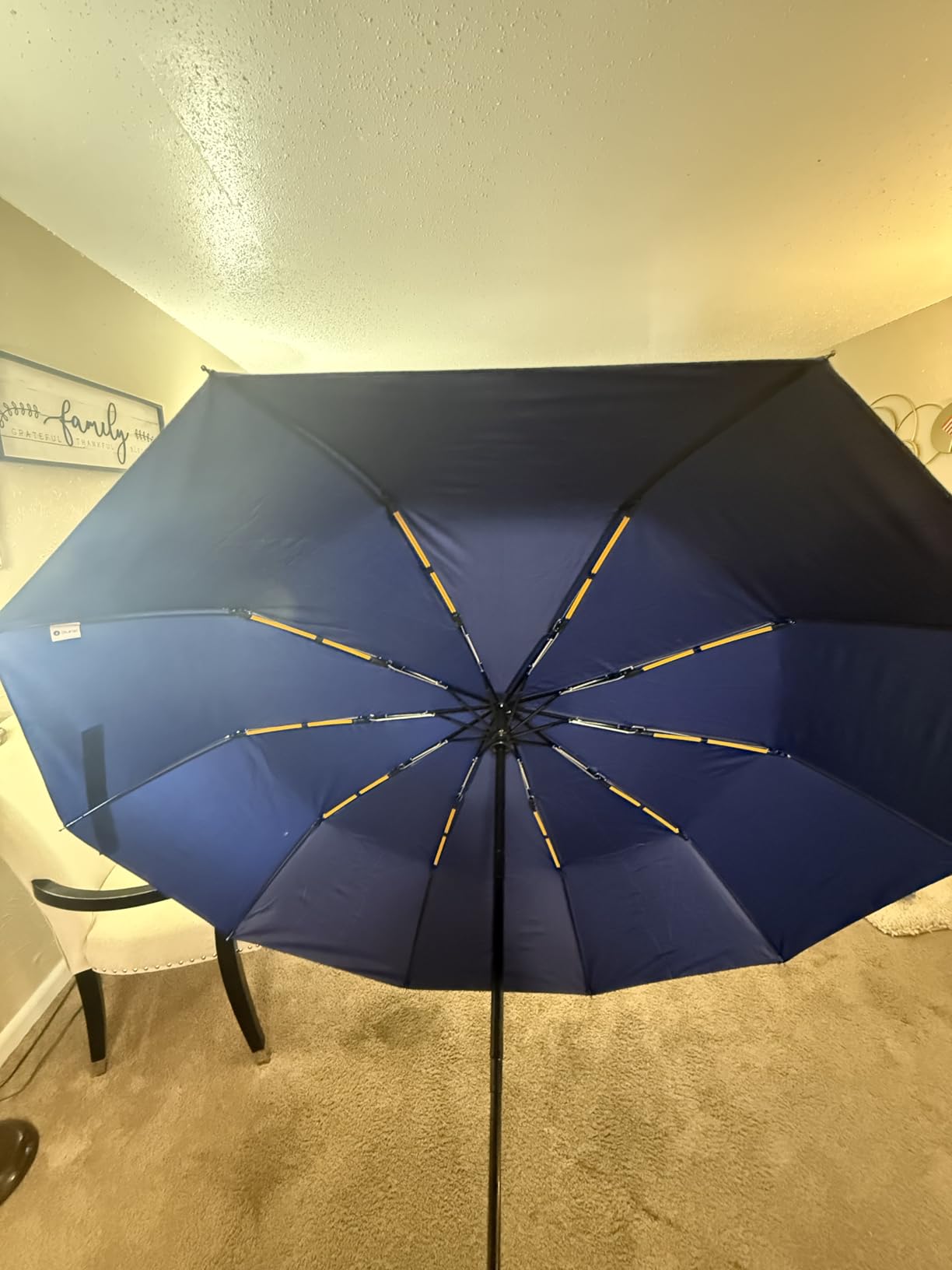 Bluinzi 46 Inch Compact Umbrellas for Rain - Travel Small Umbrella - Automatic Folding Umbrella - Windproof Portable Umbrella, Double 10-rib customer photo 2