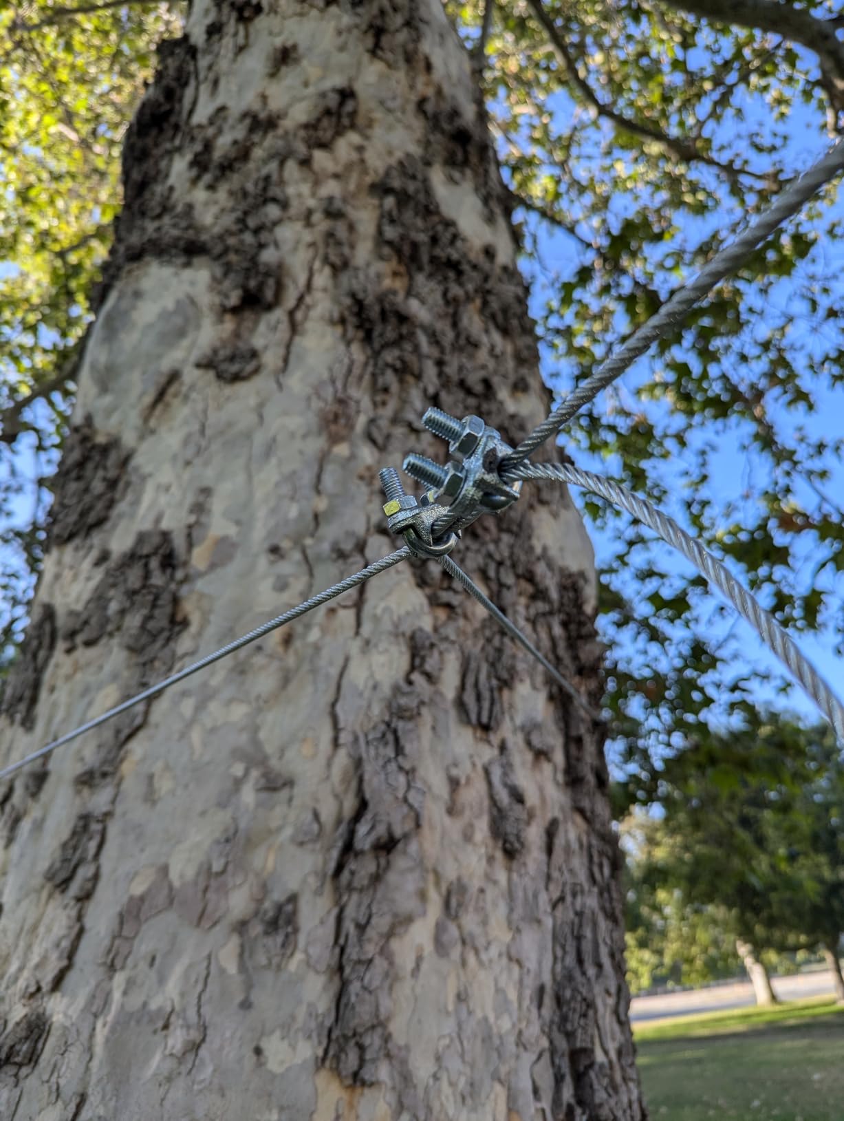 Zip Line Kit for Kids Adults : 100FT / 120FT / 150FT / 200FT Up to 380Lbs - Quick Tighten Zipline for Backyard Outdoor with 100% Rust Proof Removable Trolley Seat Spring Brake customer photo 1