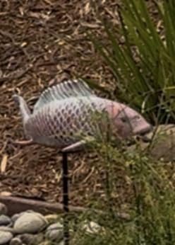Garden Statues Koi Fish Decor Outdoor Garden Fish Statues, Set of 2 Antique Copper Koi Art Sculptures for Patio, Backyard, Pond and Home Decor, Best Gardening Gifts for Women Mom customer photo 2