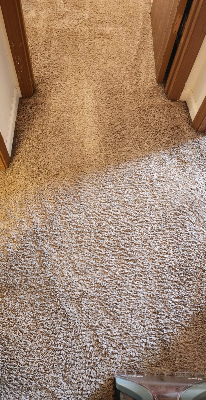 Shark CarpetXpert Upright Carpet & Built-in Stain Cleaner, 3 Tools, EX151 | For Carpet, Upholstery & Rugs, Dirt, Grime & Odor Remover, Deep Clean Essential Formula customer photo 1