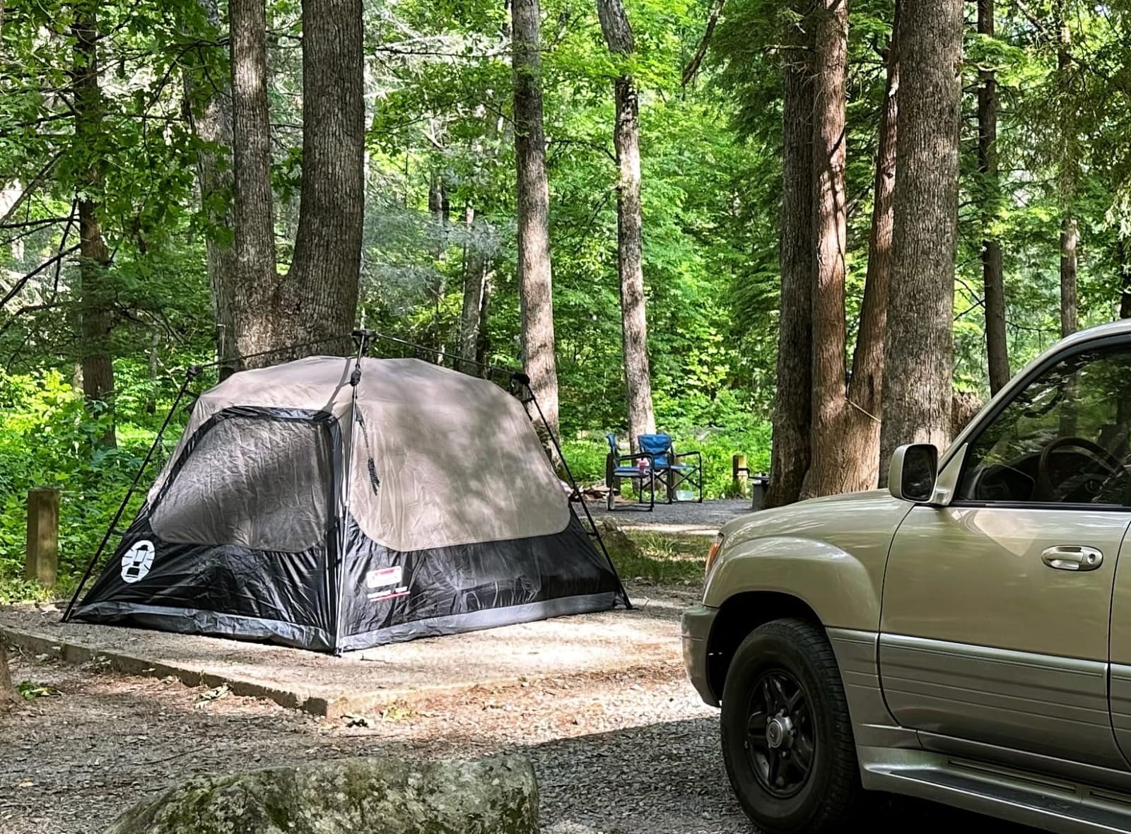 Coleman 4/6/8/10 Person Instant Camping Tent with 1-Minute Setup, Large Family Tent with Pre-Attached Poles, Air Vent, & Carry Bag, Sets Up in About 60 Seconds customer photo 1