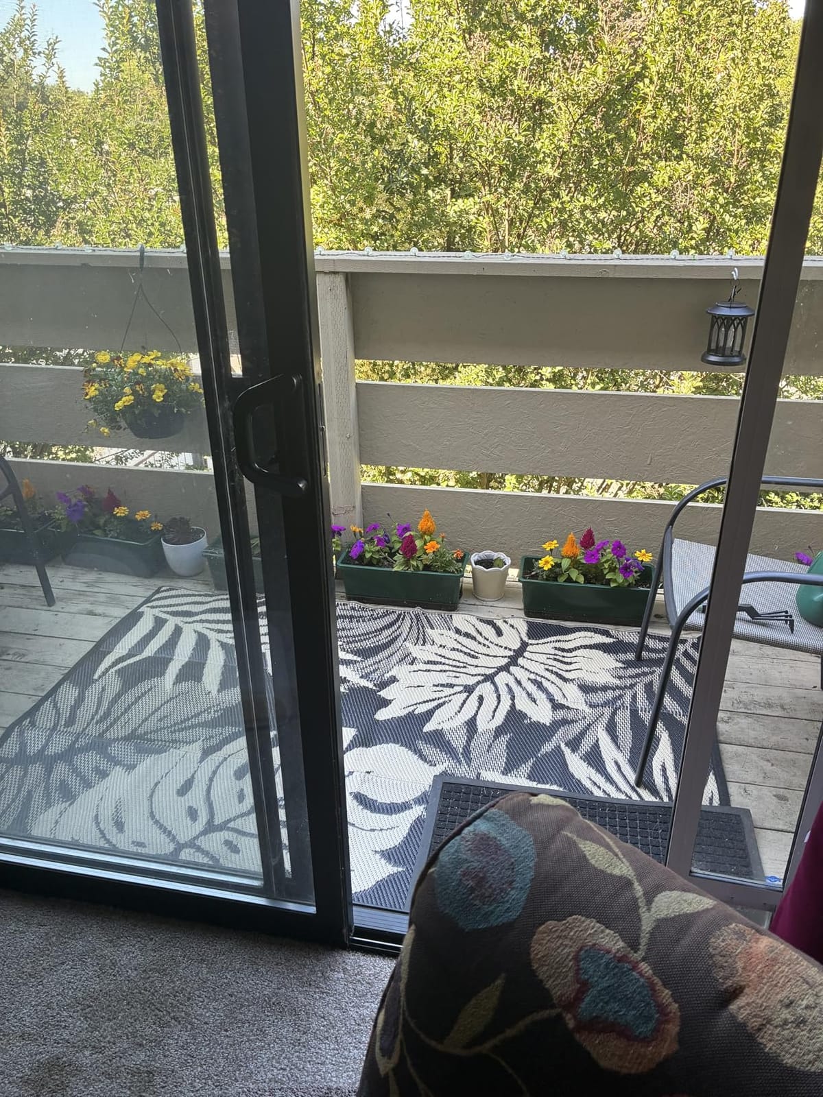 Oliz Window Box Planter 8 Pcs, 17 Inches Rectangle Flower Pots with Drainage Holes & Trays, Vegetable Planters for Windowsill Patio Garden Balcony Home Indoor Outdoor (White, 16 * 7 * 6 inch) customer photo 1