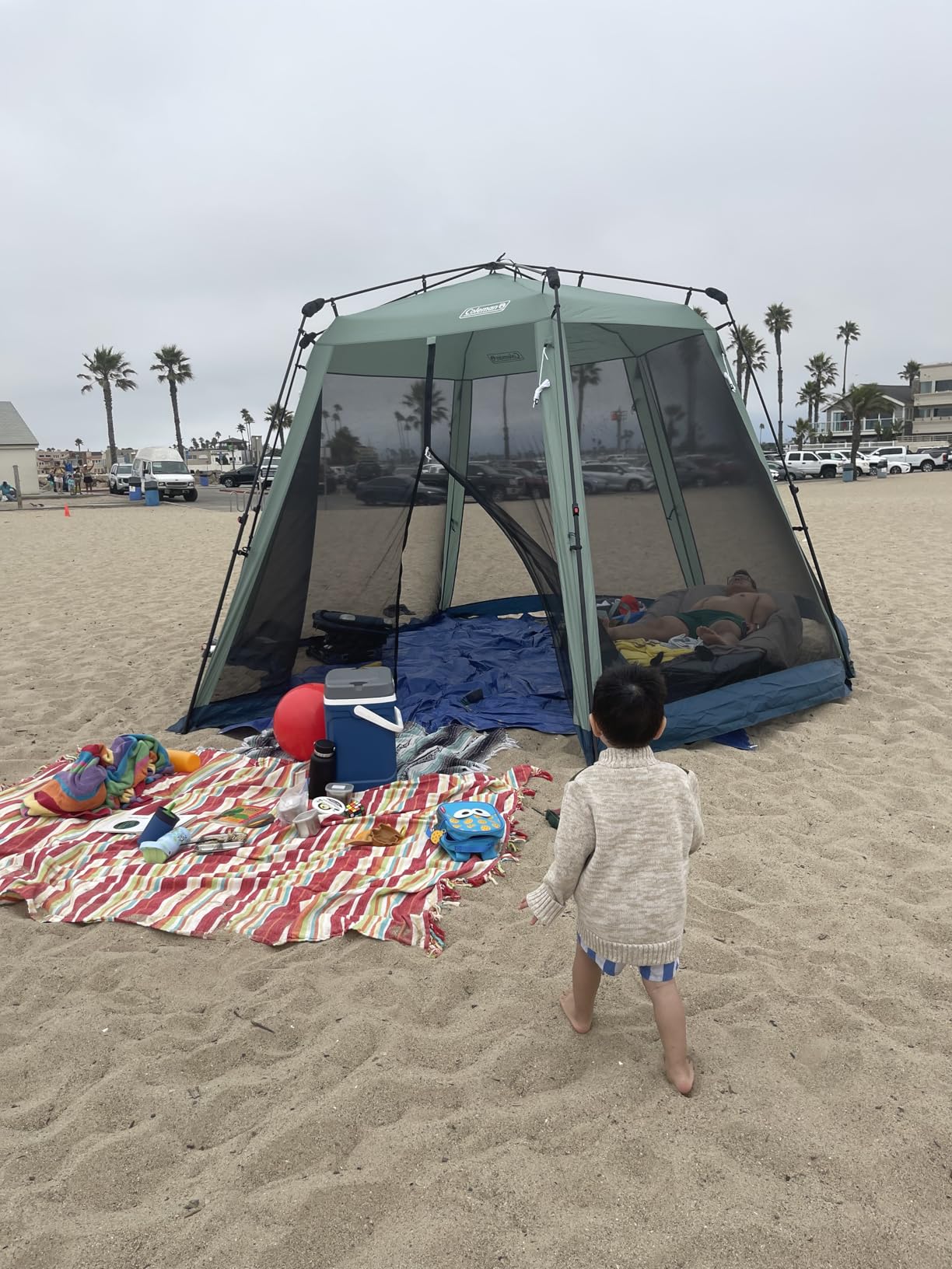 Coleman Skylodge Portable Screenhouse with 1-Minute Setup, Screened Gazebo for Bug-Free Lounging, Outdoor Sun Shade for Picnic, Events, Parties, Camping, & More customer photo 2