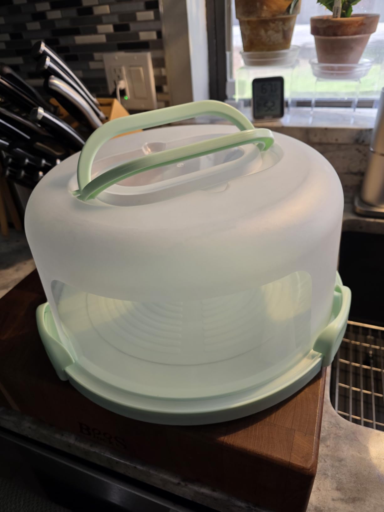 Cake Carrier with Lid and Handle - Cake Containers, BPA-Free, Perfect Gifts | Cake Holder for 10 in Cake with 2 Handles Cupcake Carrier - Plastic Cover Two Sided Base for Transport Pie Nuts Fruit customer photo 1