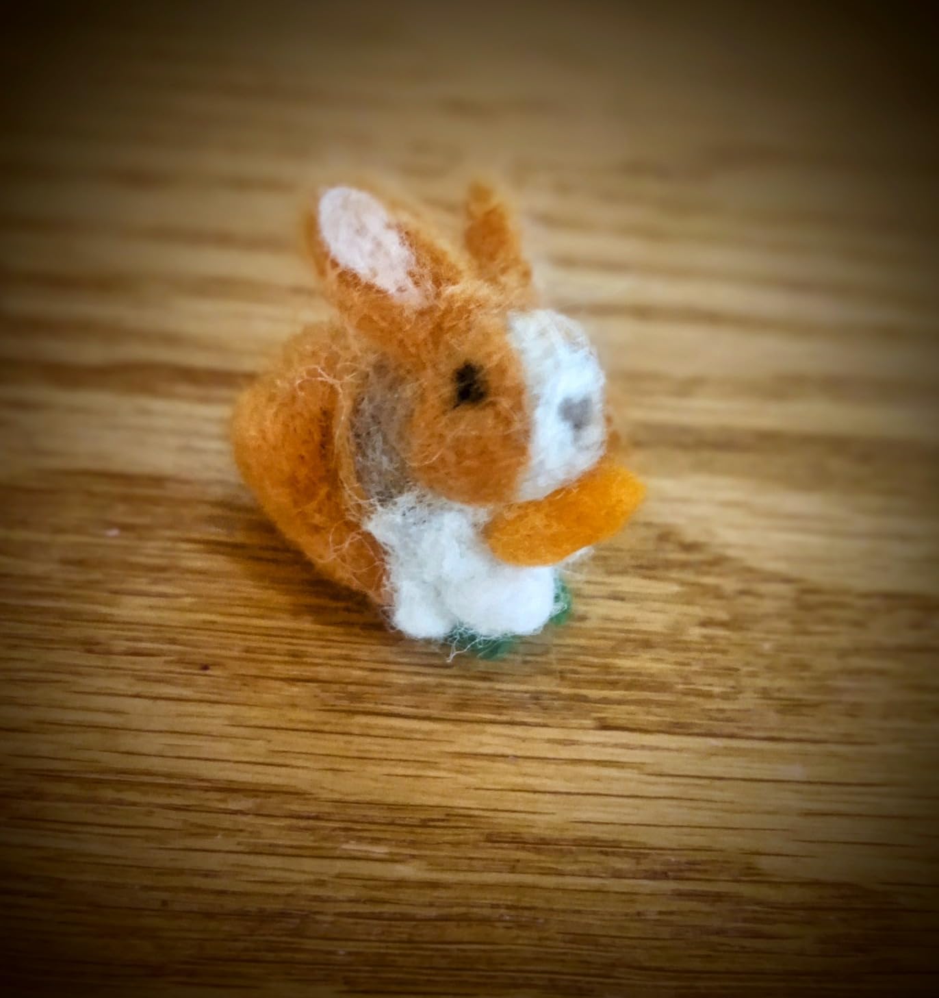 SOCNITC 70 Colors Needle Felting Kit, Wool Felting Kit for Beginner, Felting Needles Wool Roving Needle Felting Supplies with Needle Felting Tools for DIY Animals Handmade Crafts Decoration customer photo 1