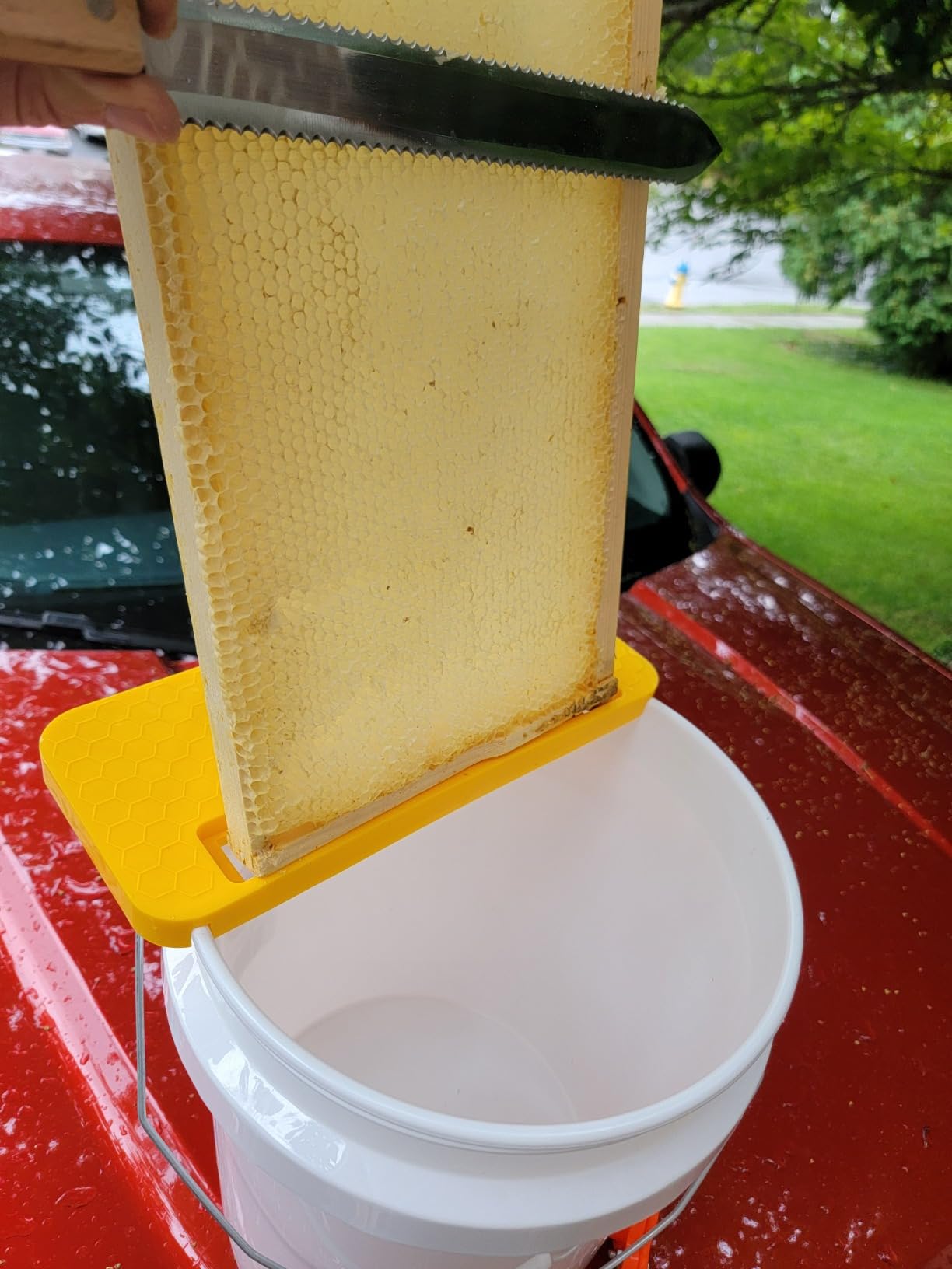 XICHENGSHIDAI Honey Uncapping Holder for 5 Gallon Bucket, Frame Rest | Supports a honey frame over a standard 5-gallon bucket; grooved scraper edge directs wax cappings and honey into the bucket. customer photo 1