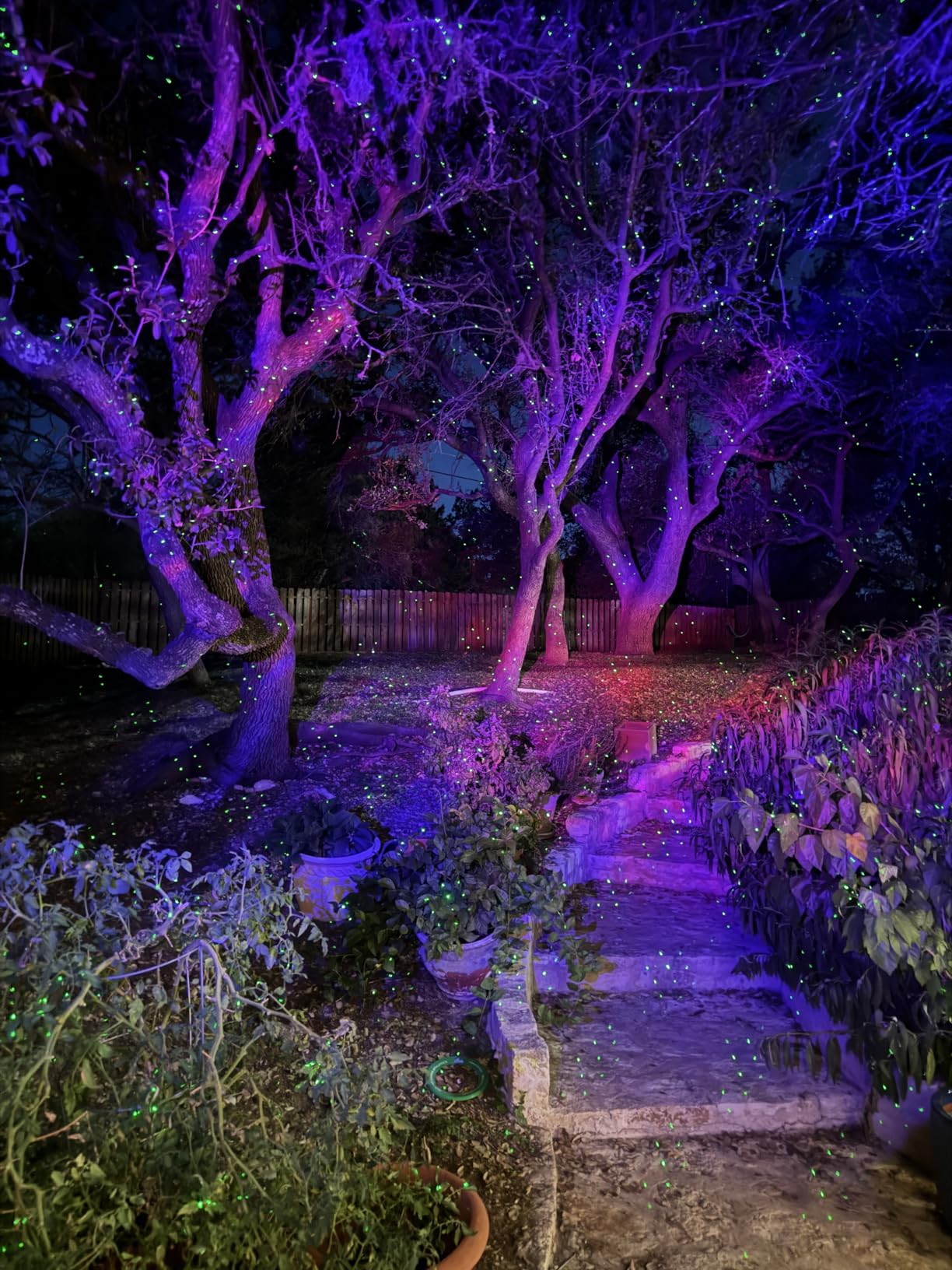 Outdoor Aurora Laser Light Projector - Firefly Starry Sky Landscape Spotlight with 20FT Waterproof Cord, RF Remote, IP65 customer photo 1