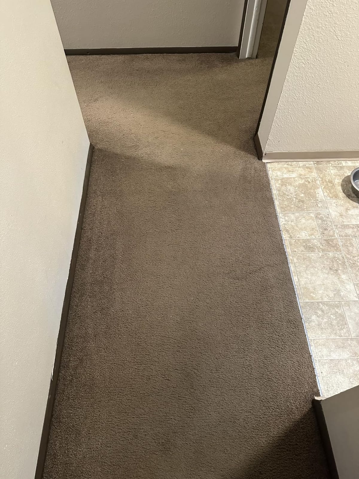 BISSELL TurboClean PET, Upright Carpet & Upholstery Cleaner, 3948 | TurboClean technology for powerful pet hair and stain removal; upright design for full-room carpet care customer photo 1