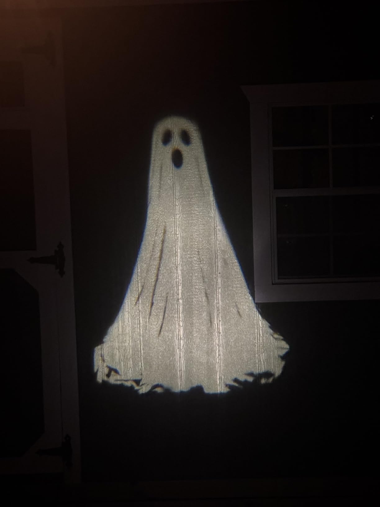 Halloween Projector Lights Outdoor, 3D Dynamic Ghost Decorations Light, 2026 Upgraded Clearer Ghost HD Patterns customer photo 2