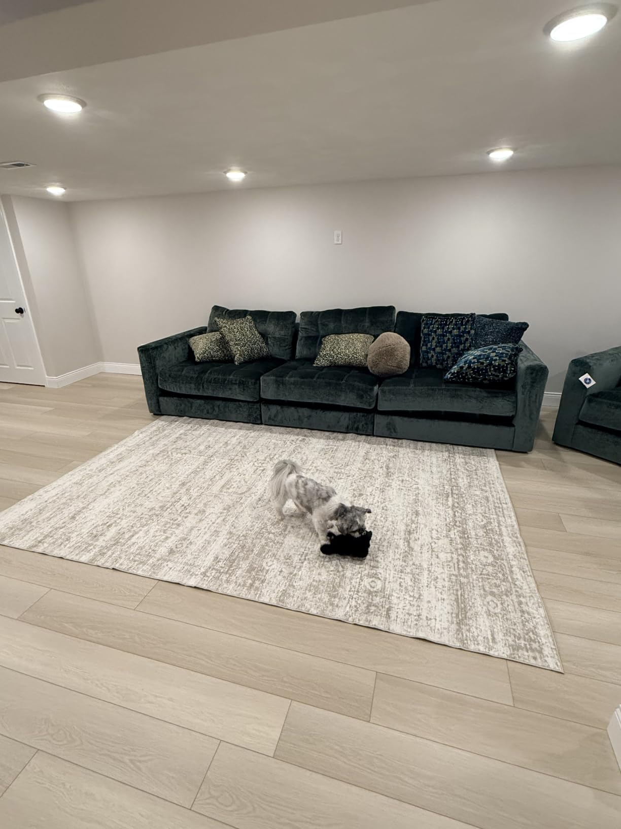 Washable Rugs 8x10 Area Rugs for Living Room,Bedroom,Dining Room Carpet | Ultra Soft Faux Wool,Kids & Pet Friendly,Machine Washable,Non-Slip & Non-Shedding,Large Vintage Low Pile Rug for Home Office customer photo 2