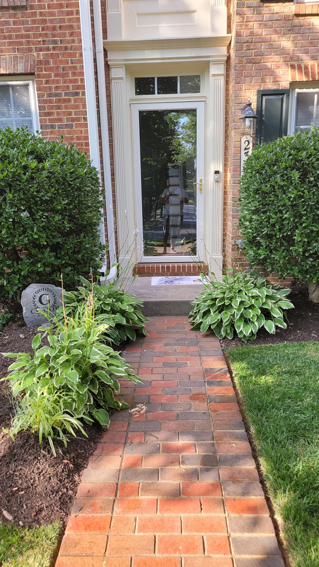 WORX Trivac 3-in-1 Electric Leaf Blower/Leaf Vacuum/Leaf Mulcher, WG505.2 | 350CFM & 210MPH, 16:1 Mulch Ratio customer photo 1