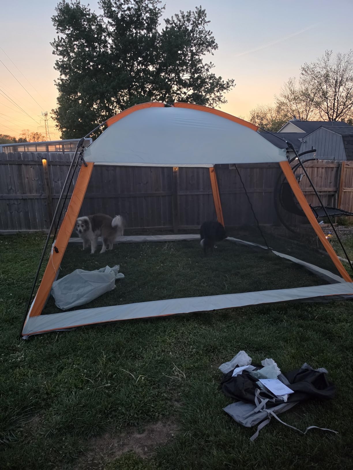 Amazon Basics Screened Canopy Tent, 12 x 12 ft with Zippered Enclosure, UPF50+ Sun Protection, Bug-Free Outdoor Shelter for Camping, Parties and Events customer photo 1