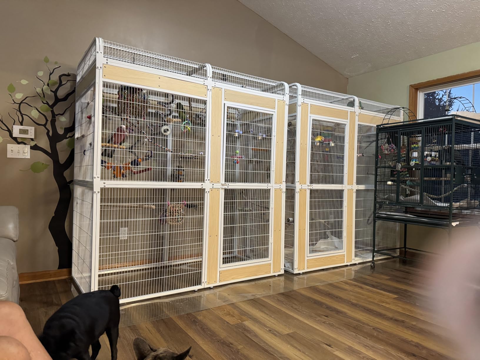 Large Bird Cage for Parakeets Outdoor Bird Aviary Parrot Cage with Perch, Birdcage for Macaws Canaries Parrots Budgie Lovebirds-Black (2 Box Set) customer photo 1