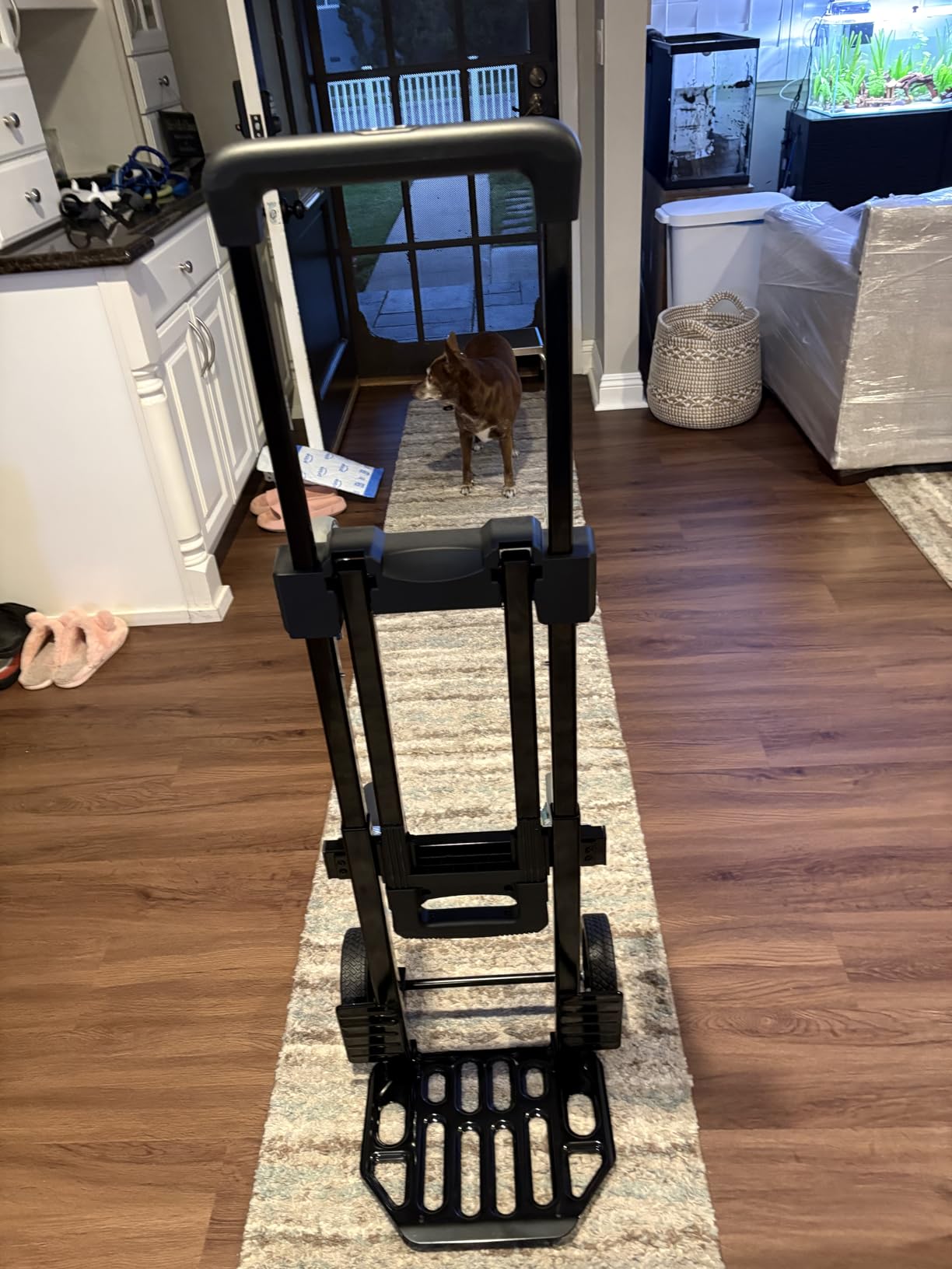 KEDSUM 3-in-1 Convertible Dolly Cart, 600LB Hand Truck with 6 Wheels | Adjustable Handle, Expandable Base, 6 Wheels with Brakes, Foldable for Home, Dorm and Warehouse customer photo 1