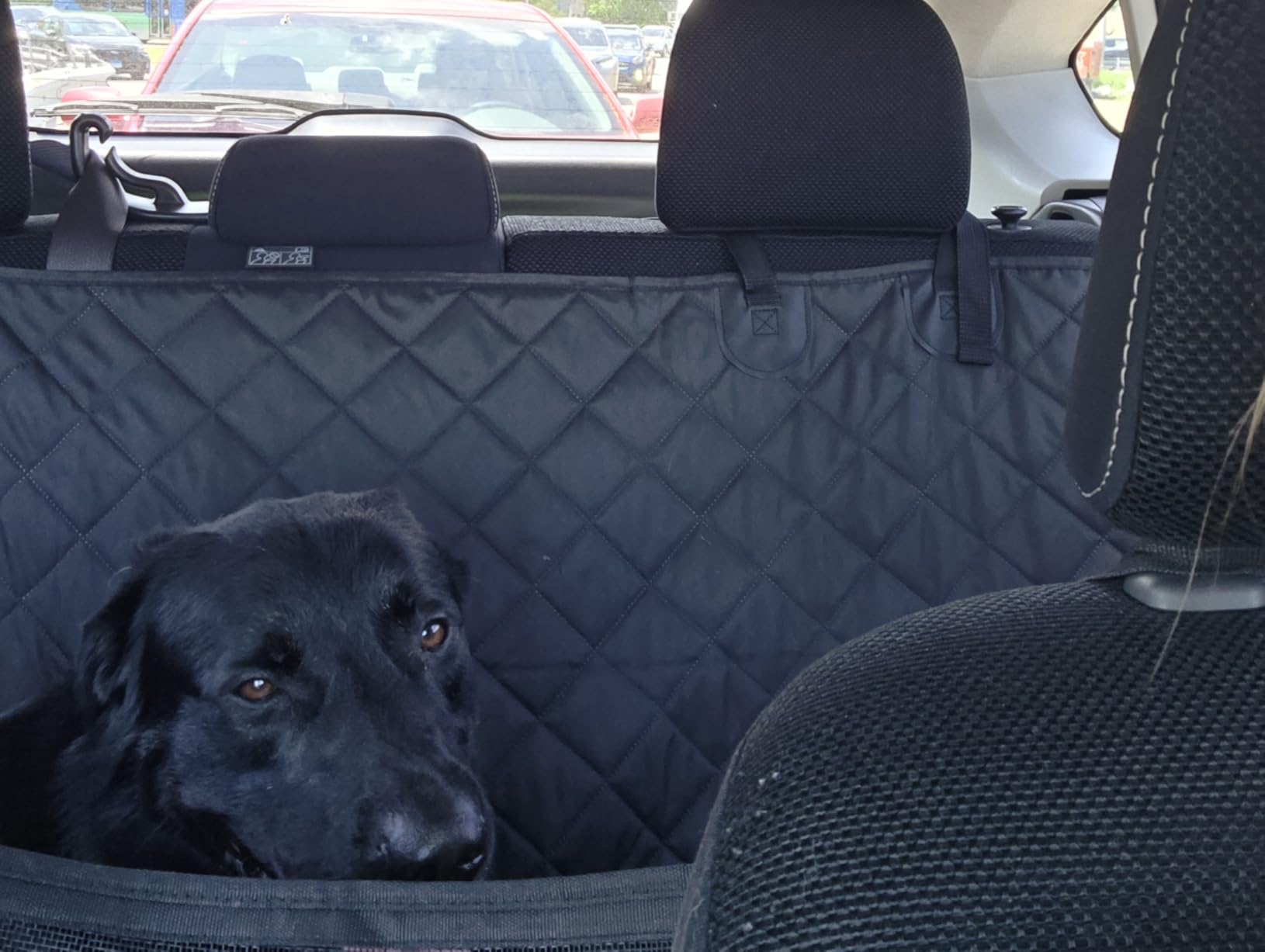 URPOWER Hard Bottom Dog Car Seat Cover, Back Seat Extender for Cars & SUVs | 400 lbs Support, 45% More Space, Waterproof, Mesh Window, Scratch Resistant, Non-Slip, Easy Care customer photo 2