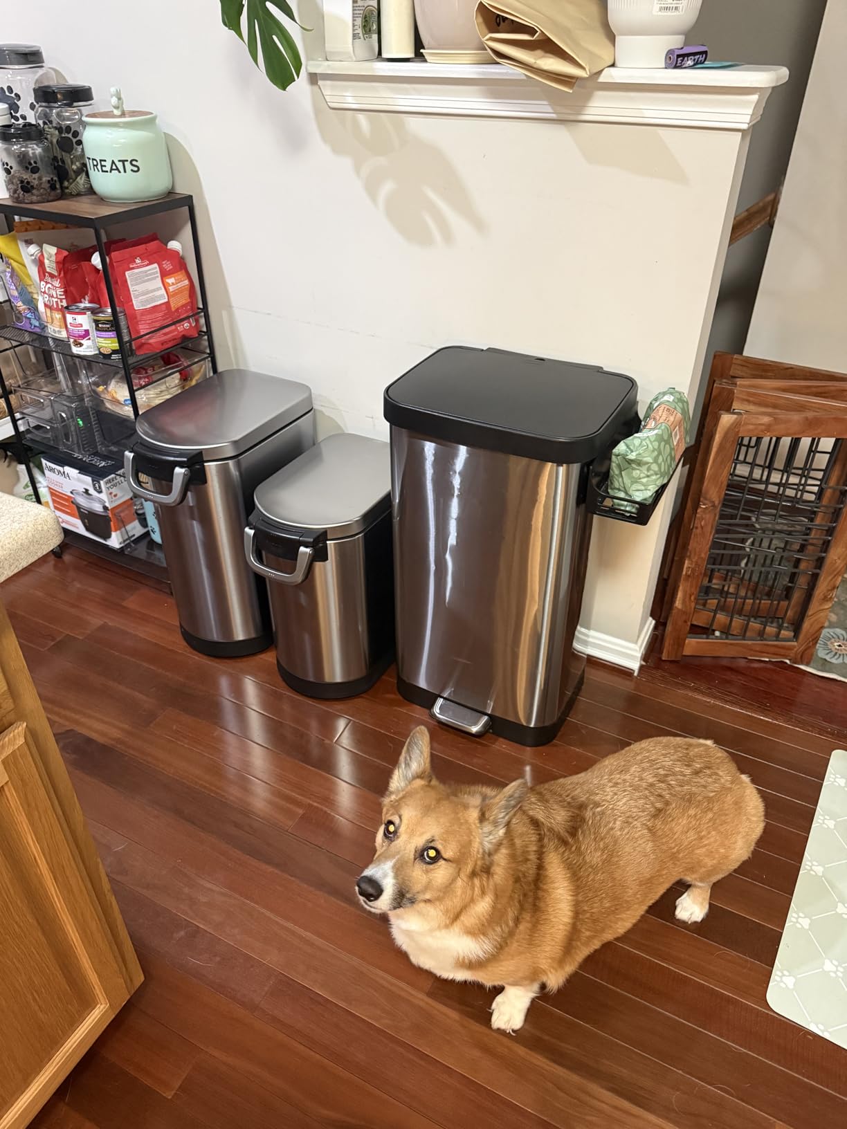 Glad All Brushed Stainless Steel Trash Can, Clorox Odor Protection, 20 Gal | Large Metal Kitchen Garbage Bin with Soft Close Lid, Garbage Bag Rings, Step On Foot Pedal and Waste Bag Roll customer photo 1