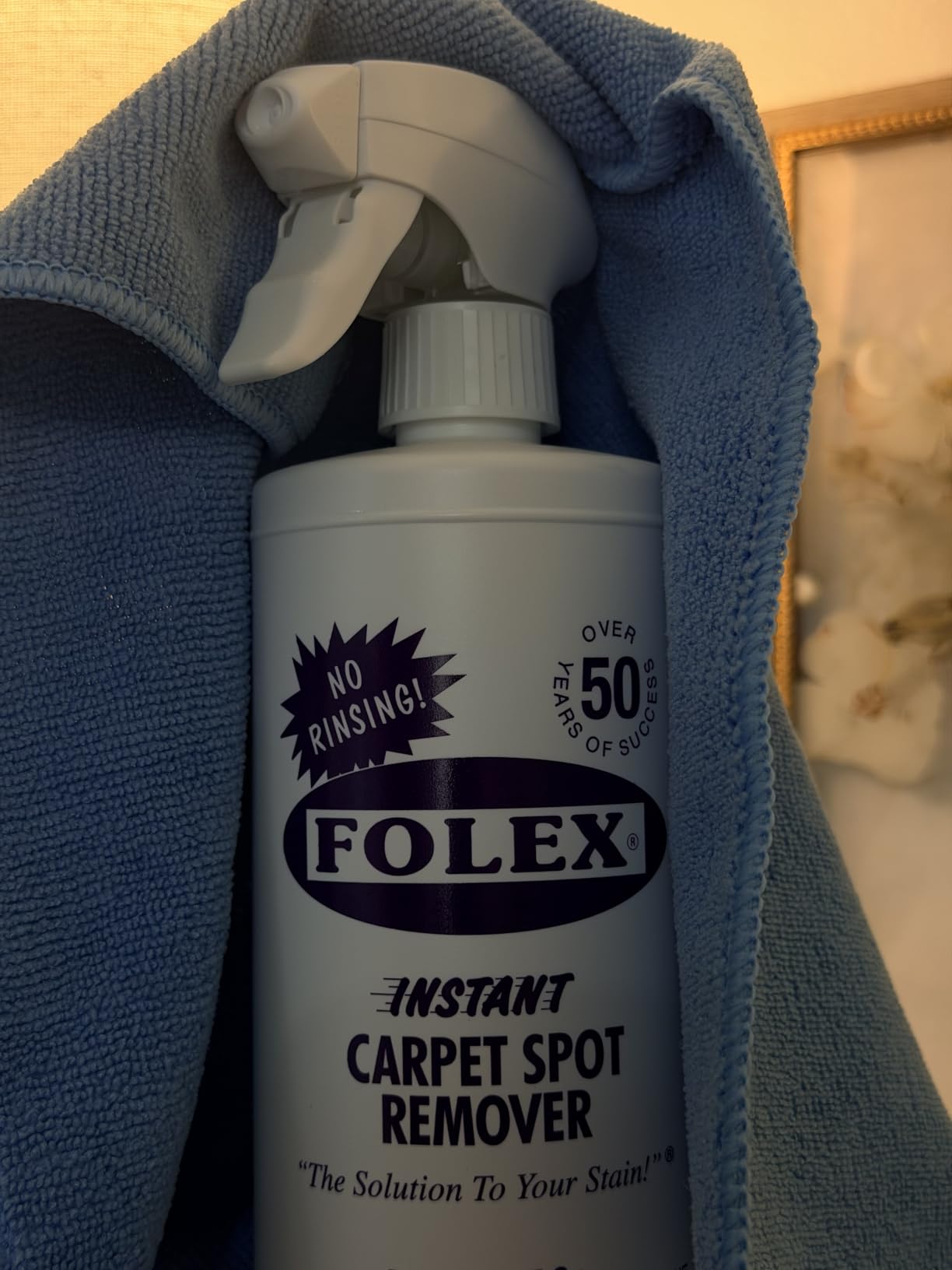 FOLEX Instant Carpet Spot Remover 32 oz - Powerful Stain Remover for Carpets, Upholstery & Rugs - Eliminates Pet Stains, Grease, Red Wine, Food, Makeup & More - With Reusable Cleaning Cloth - 1 Pack customer photo 1