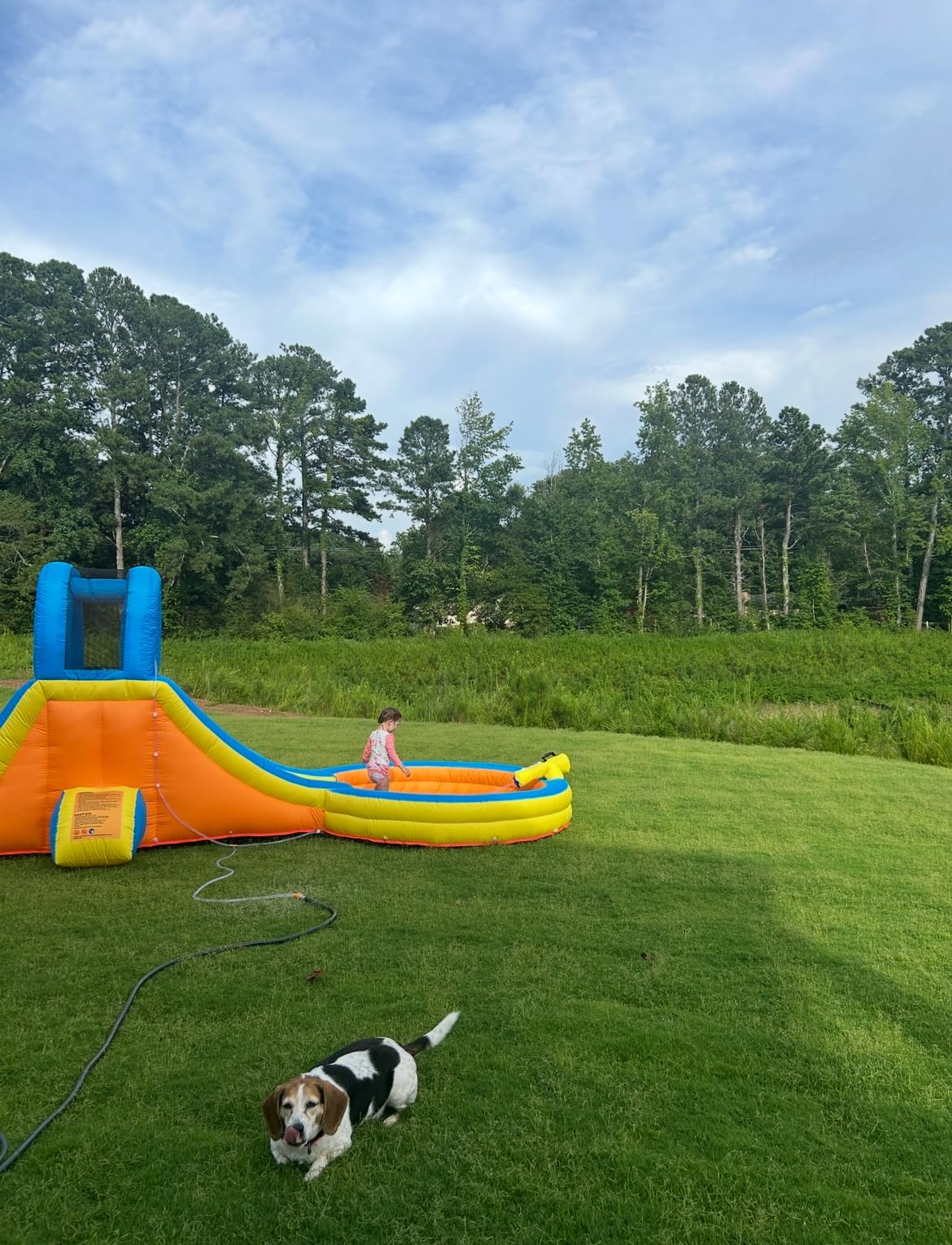 Inflatable Water Slide, 5-in-1 Round Pool Water Park with Blower | 5-in-1 Round Pool, 370W blower. For kids; long slide, wall, pool, cannon and spray spout. Made for backyard water play. customer photo 1