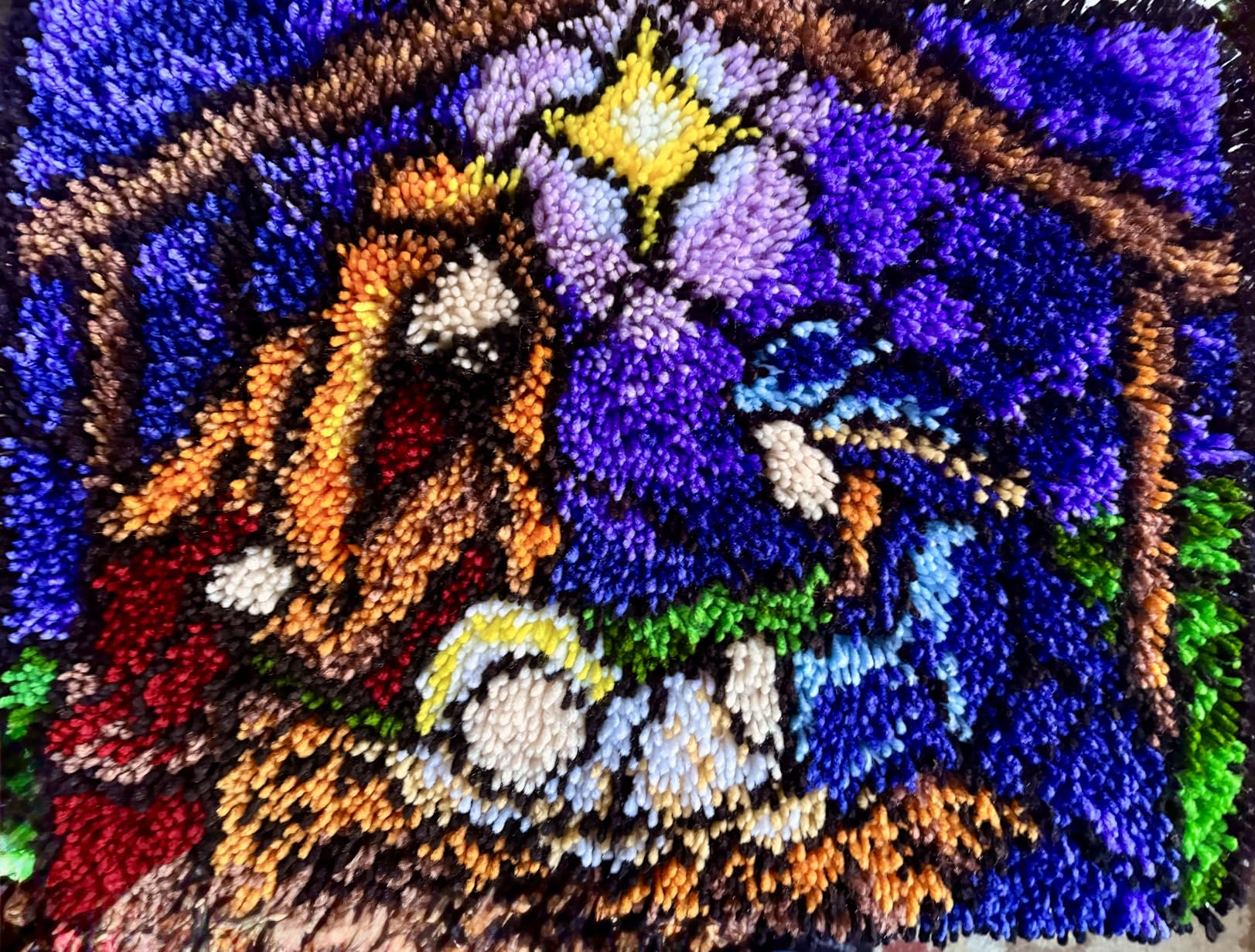 MIAOLLUN Hummingbird Flower Latch Hook Kits for Adults Beginner, DIY Bird Pre-Printed Canvas Rug Cushion Making Craft Embroidery Crochet Yarn Kit 52X38cm customer photo 2