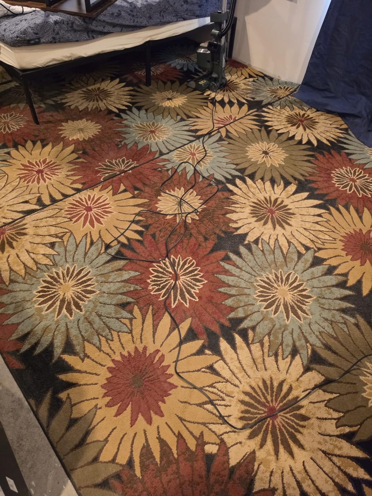 Shark Detect Pro Lift-Away ADV Vacuum, DuoClean Detect, Evergreen, LA802 customer photo 1