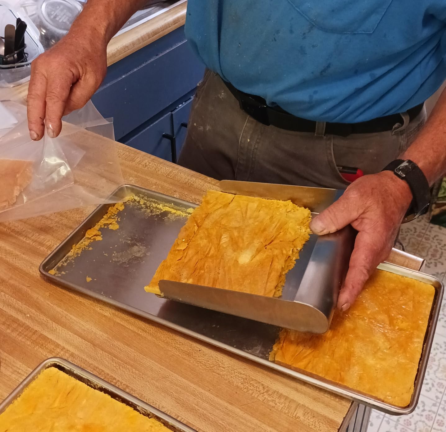 Metal Food Scoop for Harvest Right Freeze Dryer Medium and Small Trays, Perfect width to scoop up dried food off your Harvest Right trays customer photo 1