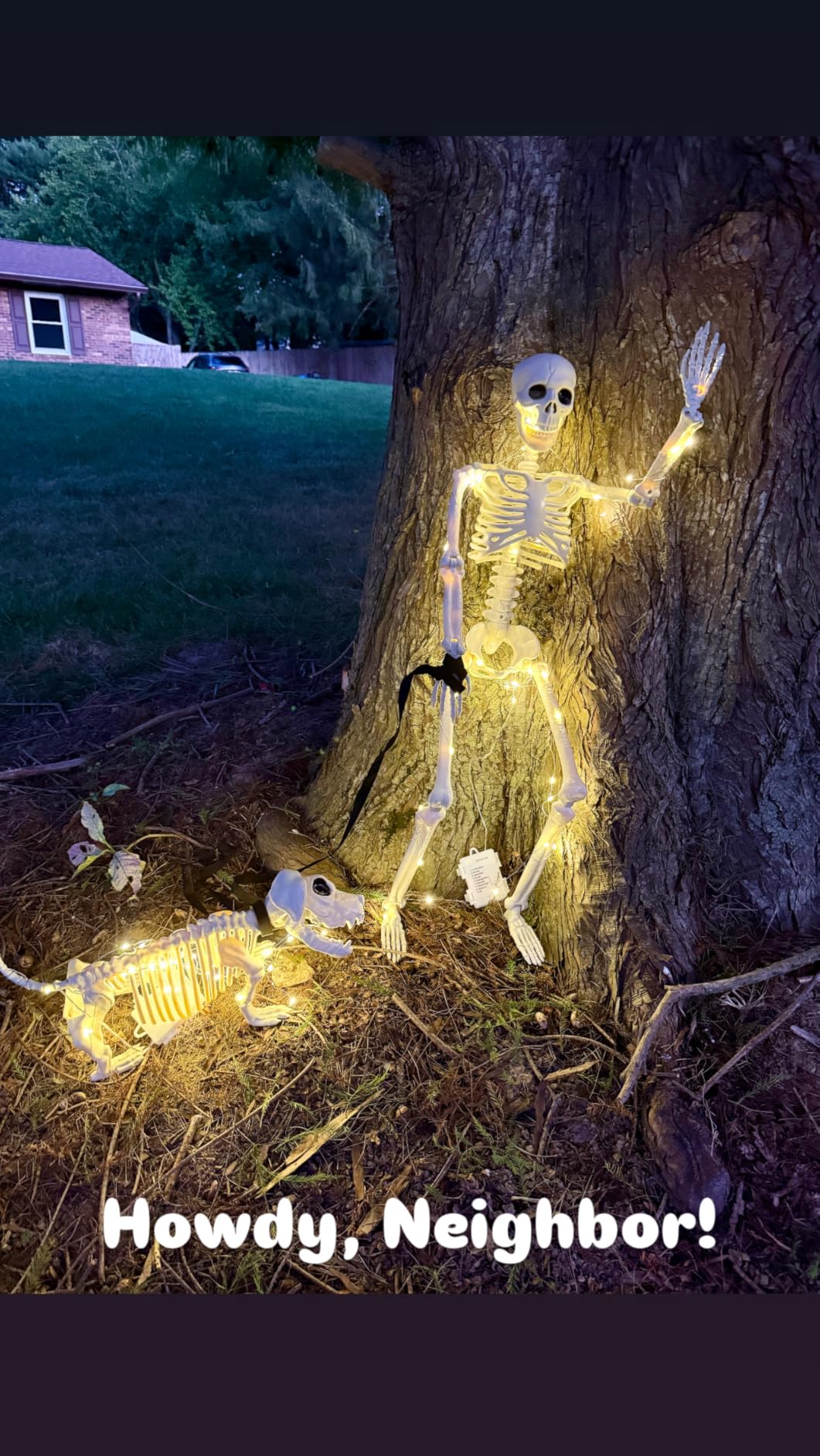 Lighted Human & Dog Skeleton Halloween Decorations Outdoor/Indoor - 36 Inch Realistic Full Body Movable Posable Skeleton customer photo 1