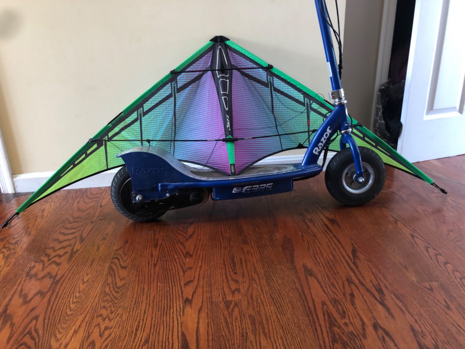 Jazz 2.0 Dual-line Sport Kite Ready to Fly with Flying Lines, Wrist Straps, Winder, Instructions, and Storage Bag customer photo 1