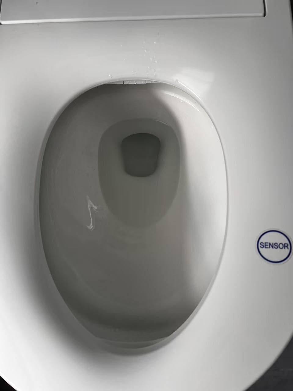 Casta Diva Smart Toilet With Bidet Built in Auto Open 1000g MaP Flush K030 | Bidet Toilet with Tank, Heated Comfort Seat & Foam Dispenser, Warm Water, Dryer, Foot Sensor & Blackout Flush, Night Light customer photo 2