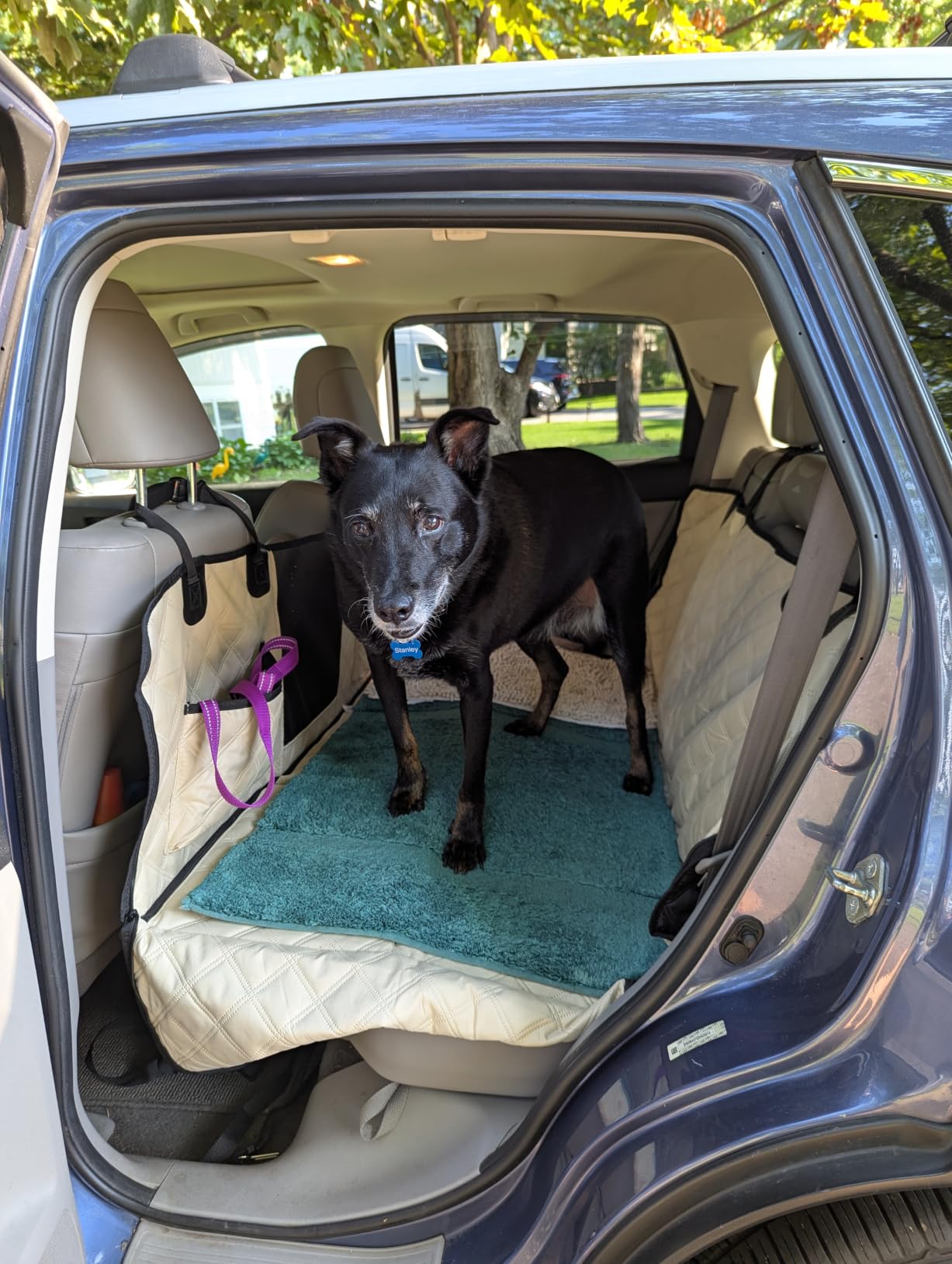 Dog Car Seat Cover for Back Seat, Hard Bottom Hammock Hold 400lbs For Cars | Waterproof,Anti-Scratch,Safety Non-Slip,600D Oxford,Mesh Window,Storage Pocket customer photo 2