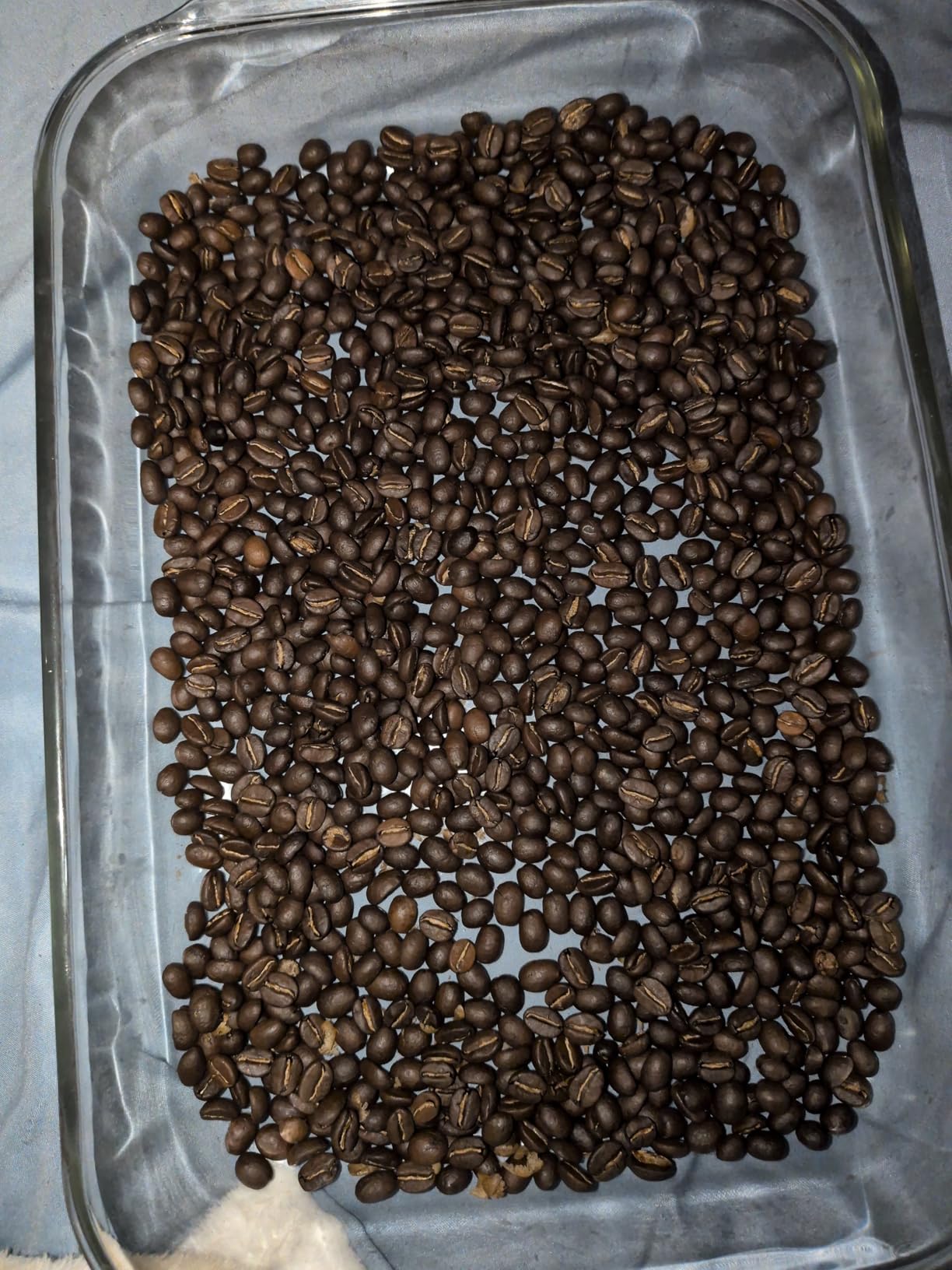 Electric Coffee Bean Roaster Machine for Home Use - 1500W Air Coffee Roaster with Adjustable Temperature & Timer, Built-In Chaff Collector & Air Circulation 100g Capacity Electric Coffee Roaster customer photo 1