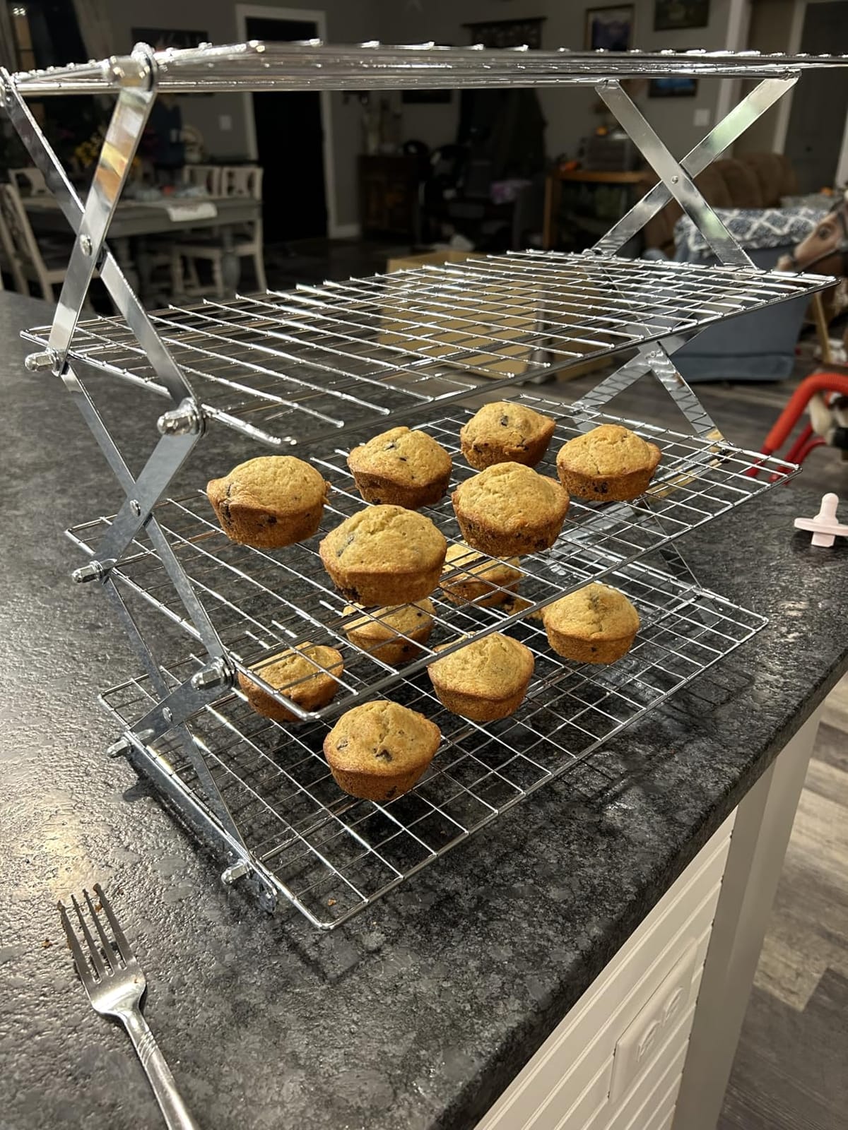 BEWOS 4 Tier Collapsible Cooling Rack - Adjustable Stainless Steel Baking Rack with Leak-Proof Mesh, X-Shaped Structure Cooling Rack for Cooking and Baking, Dishwasher Safe customer photo 2