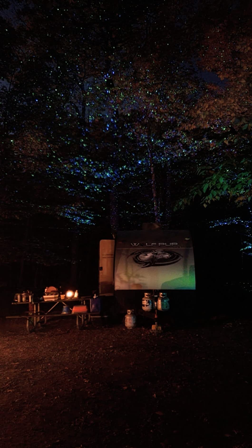CAIYUE Outdoor Christmas Projector, Three-Color RGB Waterproof Projector with Remote Control and Timer customer photo 1