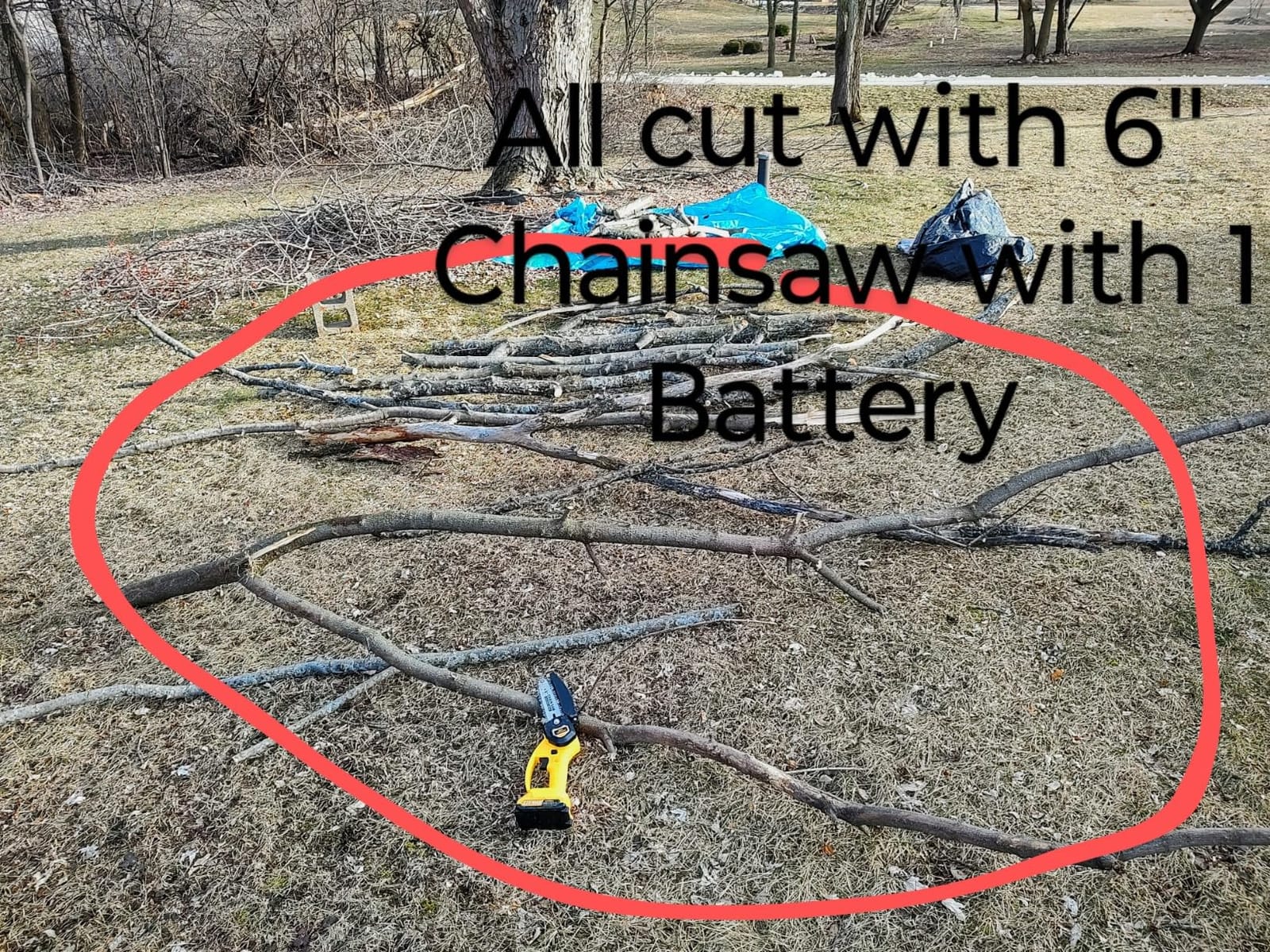 2-in-1 Cordless Pole Saw, 8 Inch Mini Chainsaw, 6.6-Ft Electric Pole Saws | 21V 4.0Ah Battery Powered, Electric Tree Pruner for tree Trimming, Branch, Limb and Wood Cutting in Gardens and Orchards customer photo 2