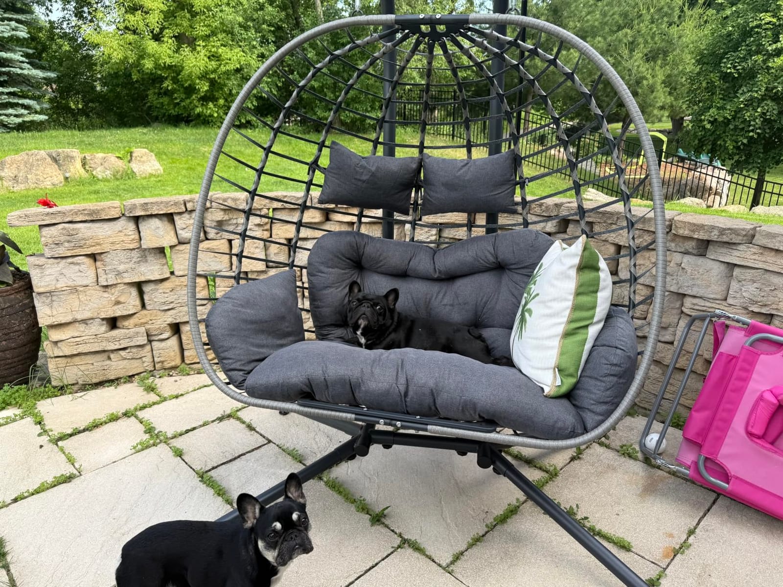 SWITTE Double Egg Chair Outdoor with Stand, Patio Hanging Swing, Beige | Indoor 2 Person Egg Swinging with Cushion, Wicker Loveseat for Porch Balcony Backyard, Cozy Hammock Chairs 650 LBS Capacity customer photo 1