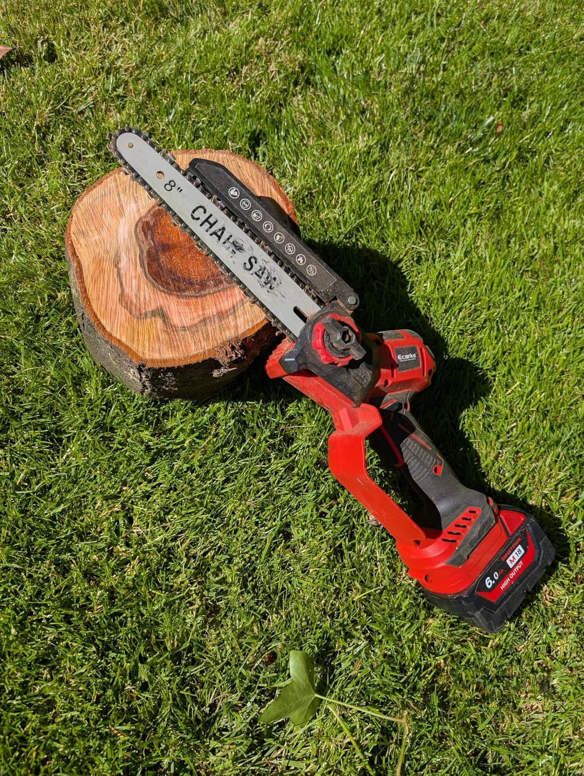 Ecarke 2-in-1 Electric Pole Saw Compatible with Dewalt 20V Battery, 6 Inch Mini Chainsaw Brushless Tree Trimmer with Extension Pole, 16FT Max Total Reach, Tree Saw for Trimming Pruning (Tool Only) customer photo 2